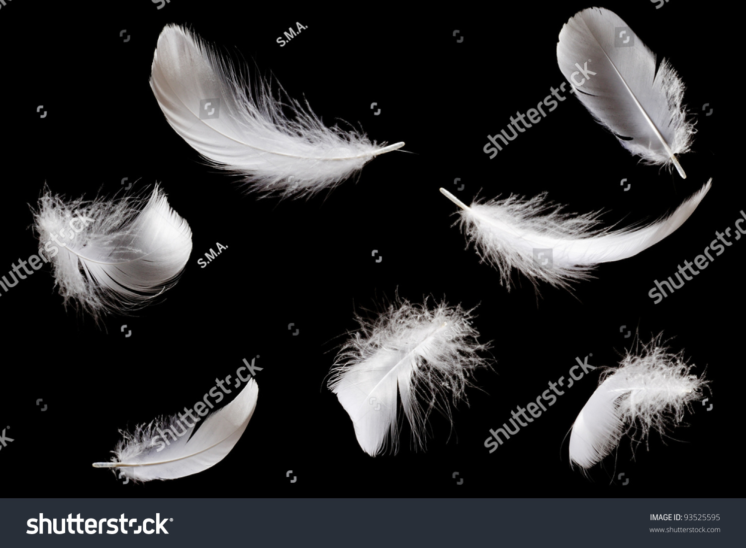 Feather #93525595