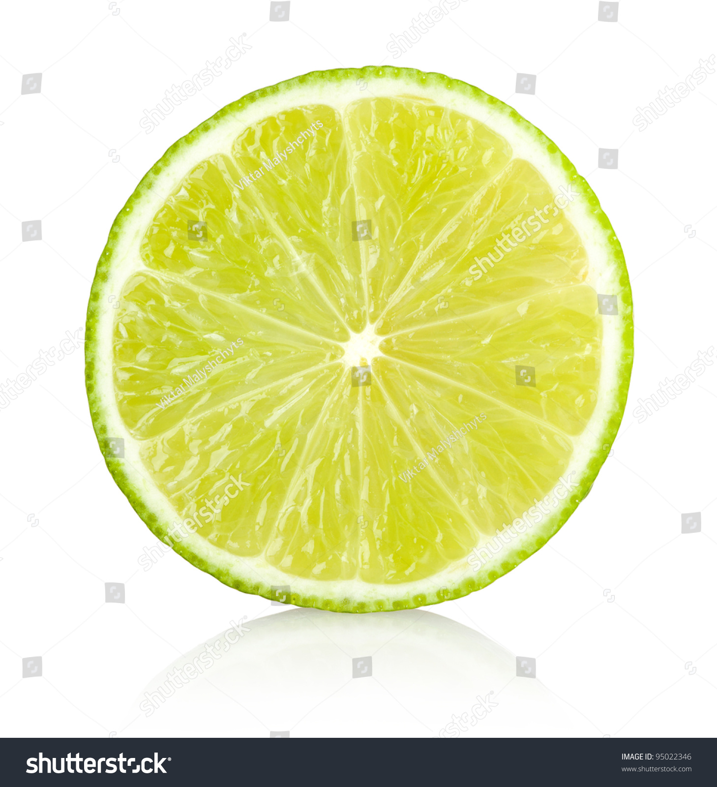 lime slice #95022346