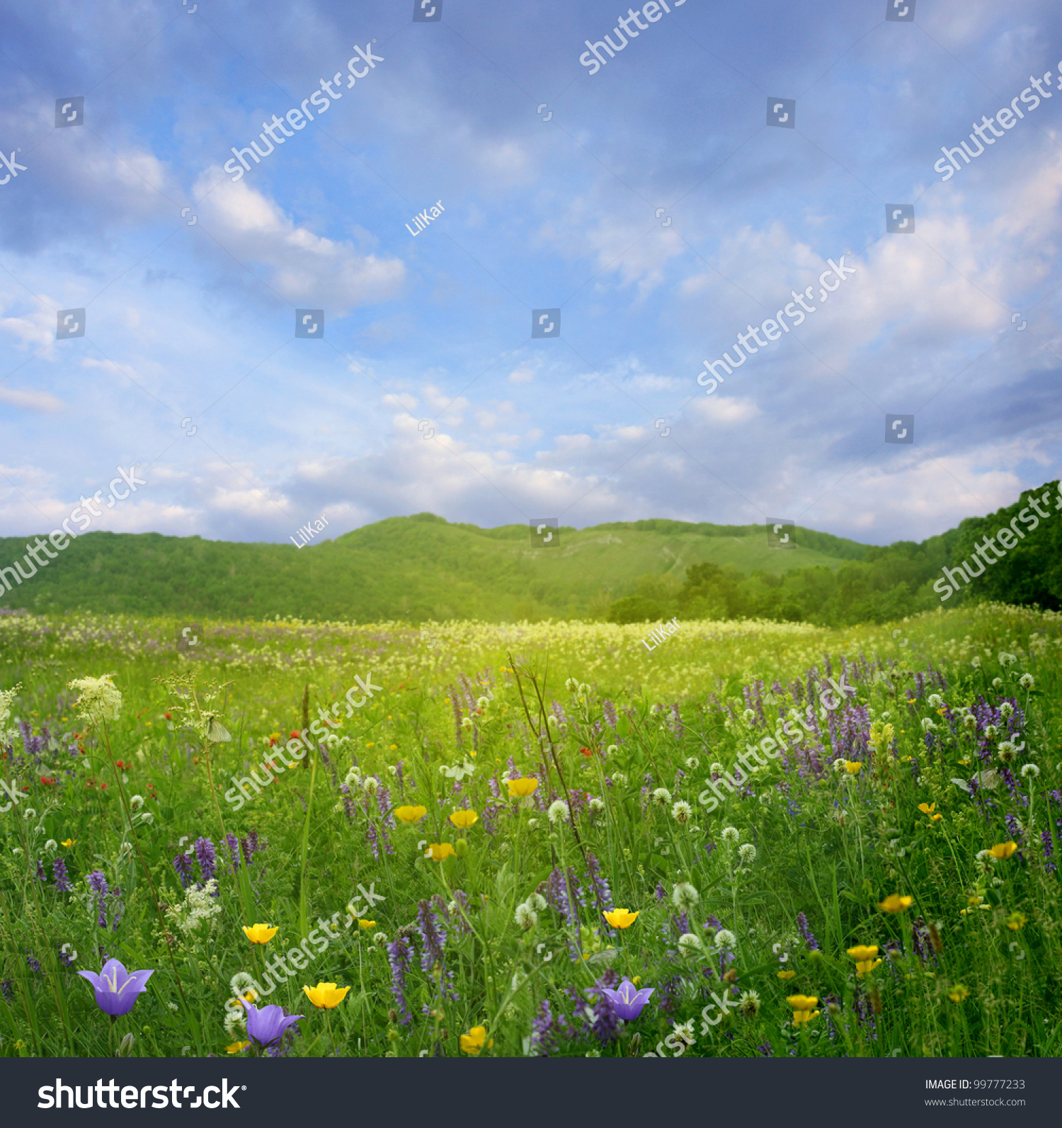 Mountain landscape with flowers #99777233