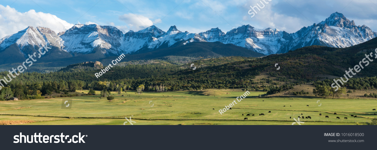 Cattle ranch below the Dallas divide mountains in Southwest Colorado #1016018500