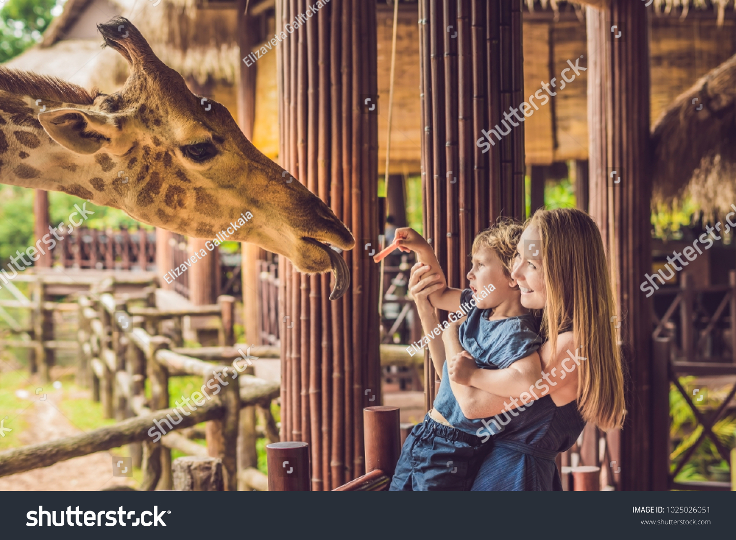 Happy mother and son watching and feeding giraffe in zoo. Happy family having fun with animals safari park on warm summer day. #1025026051