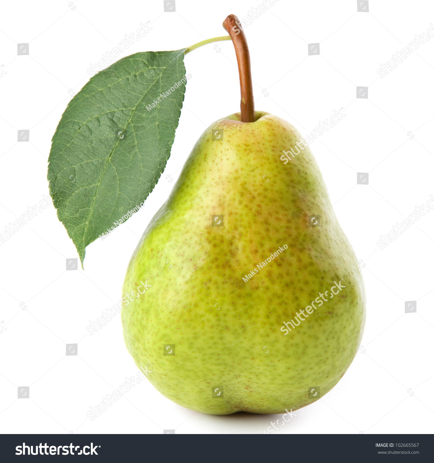 ripe pears isolated on white background #102665567