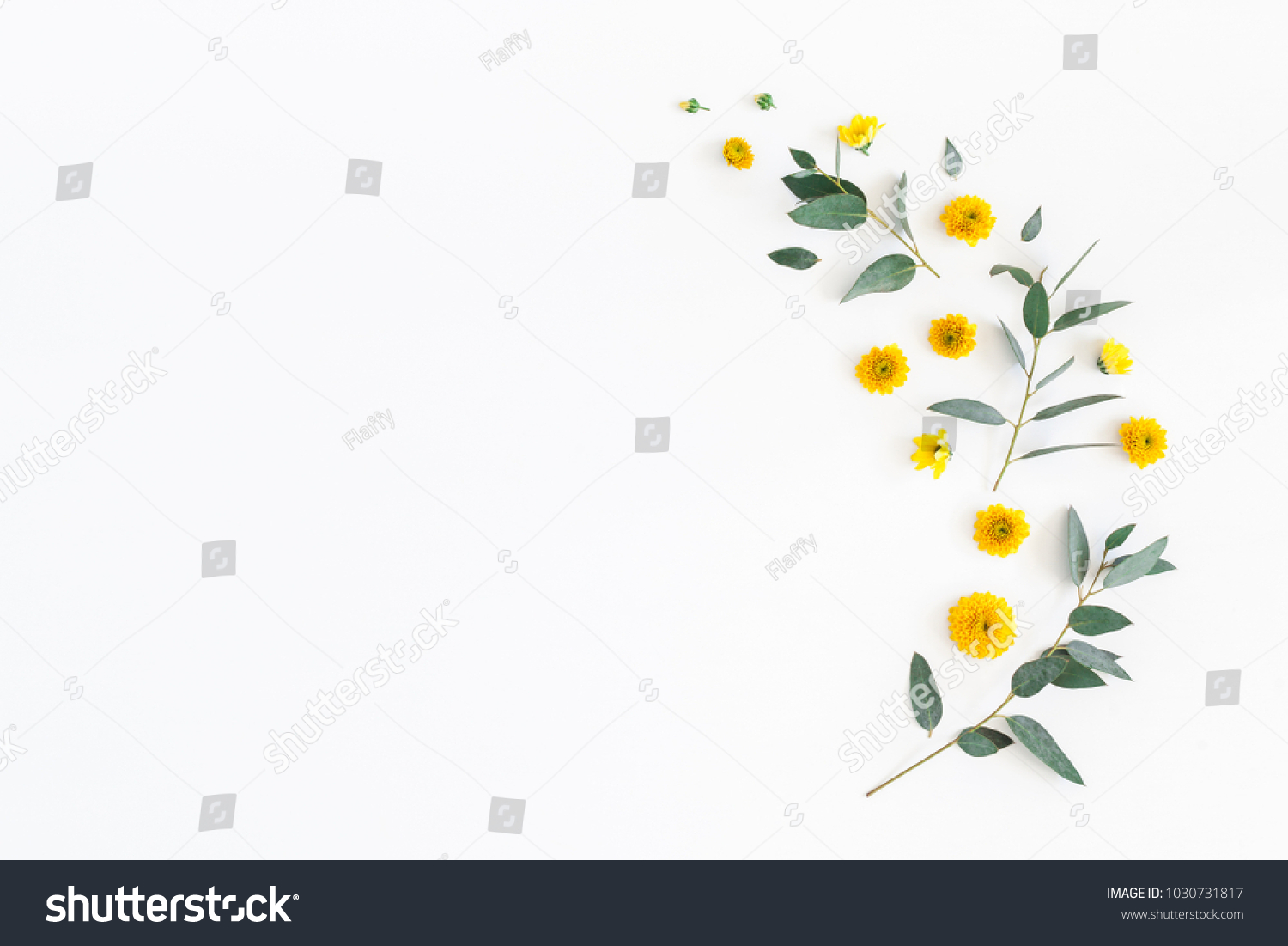 Flowers composition. Pattern made of yellow flowers and eucalyptus leaves on white background. Flat lay, top view, copy space #1030731817