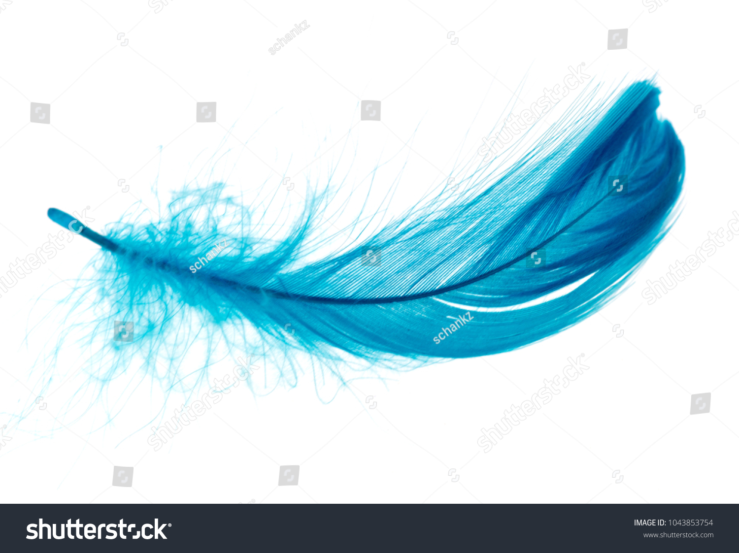 Beautiful blue feather on white background #1043853754