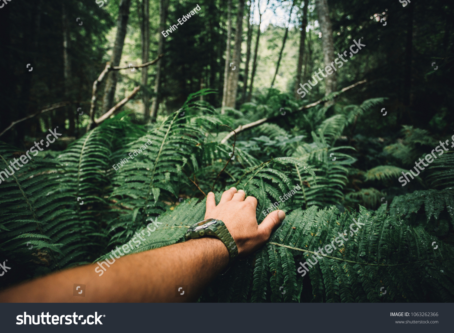 Close up of explorer male hand in green rainy forest.Survival travel,lifestyle concept. #1063262366