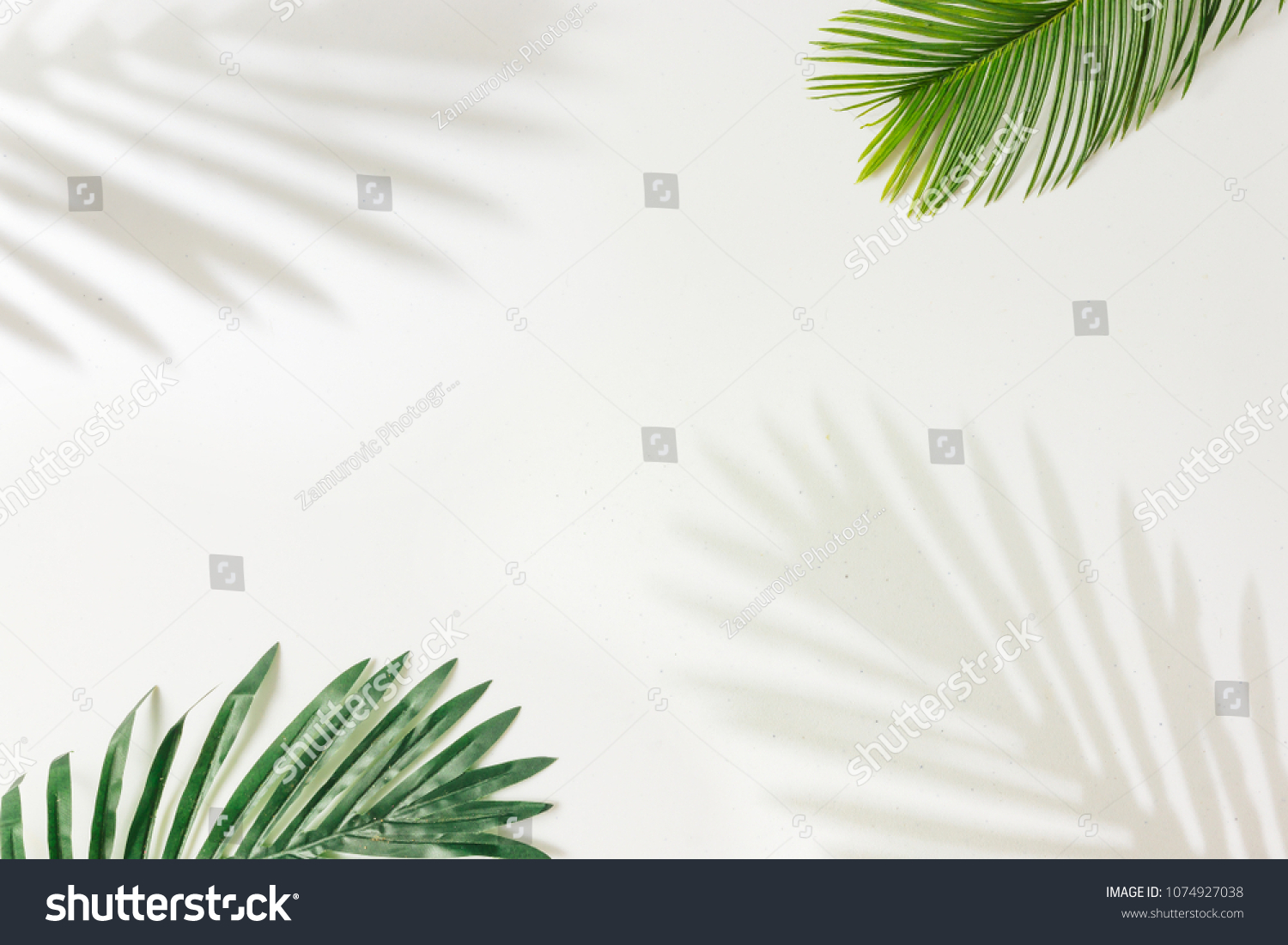 Kreativní uspořádání z barevných tropických listů na bílém pozadí. Minimální letní exotický koncept s kopírovacími prostory. Pohraniční uspořádání. #1074927038