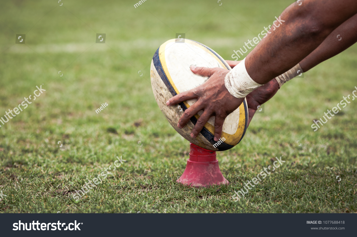 rugby player preparing to kick the oval ball during game #1077688418