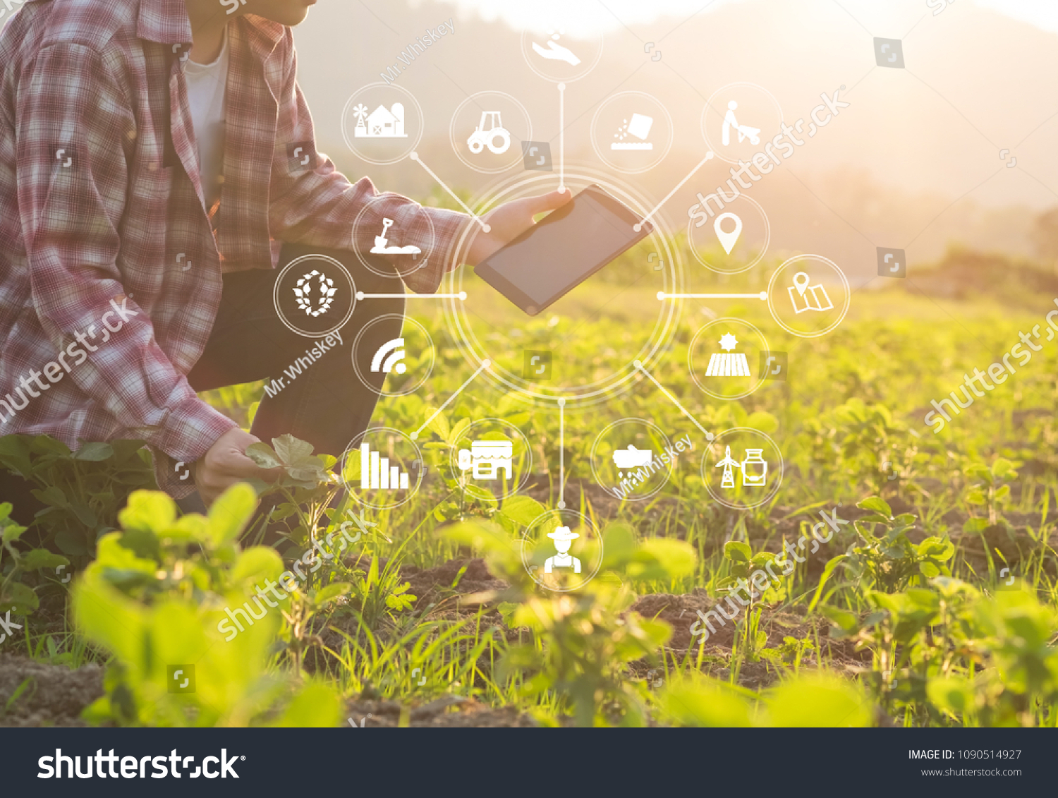 Agriculture technology farmer man using tablet computer analysis data and visual icon. #1090514927