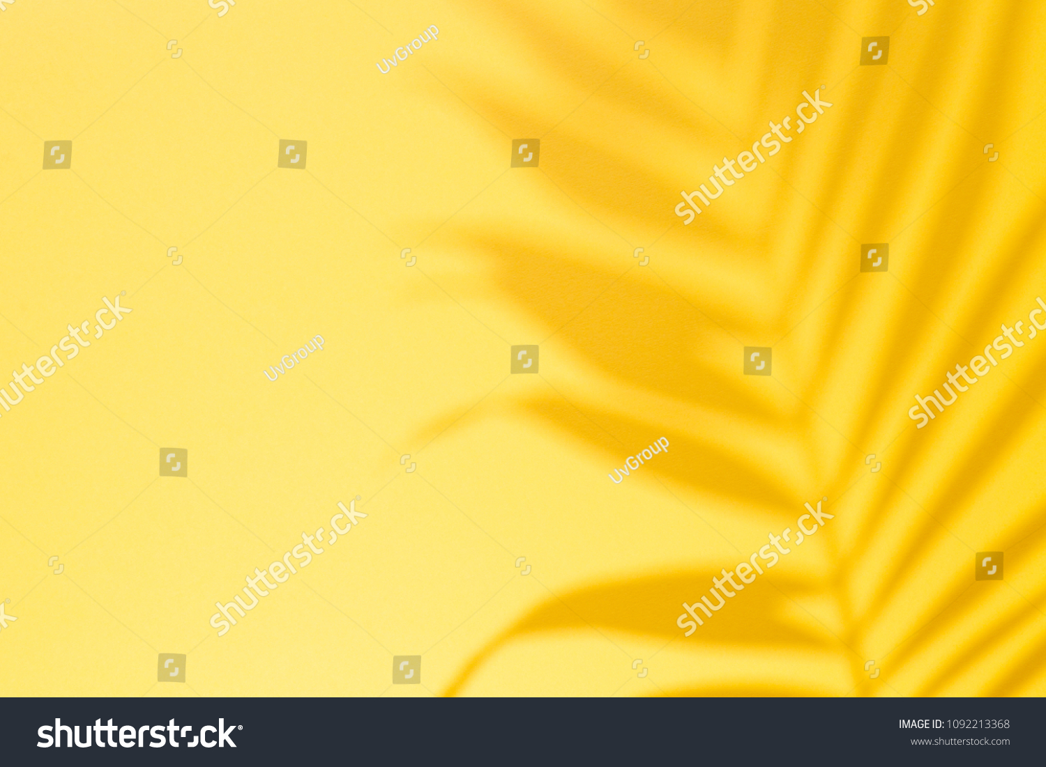 Top view of green tropical leaf Monstera shadow on yellow background. Flat lay. Summer concept with palm tree leaf, copyspace #1092213368