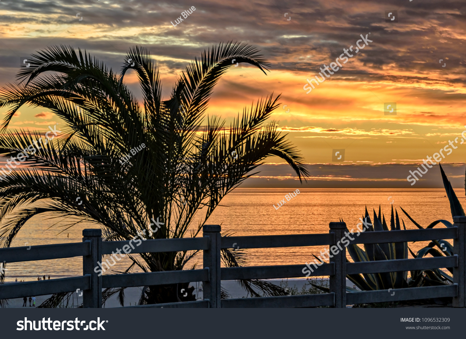 Beautiful ocean sunset with palm tree silhouette as seen from Palisades Park in Santa Monica, California. #1096532309