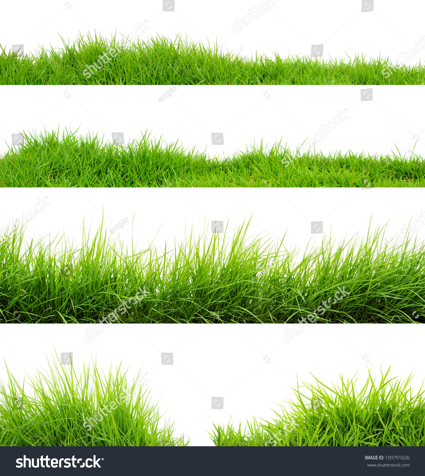 Grass #109791026