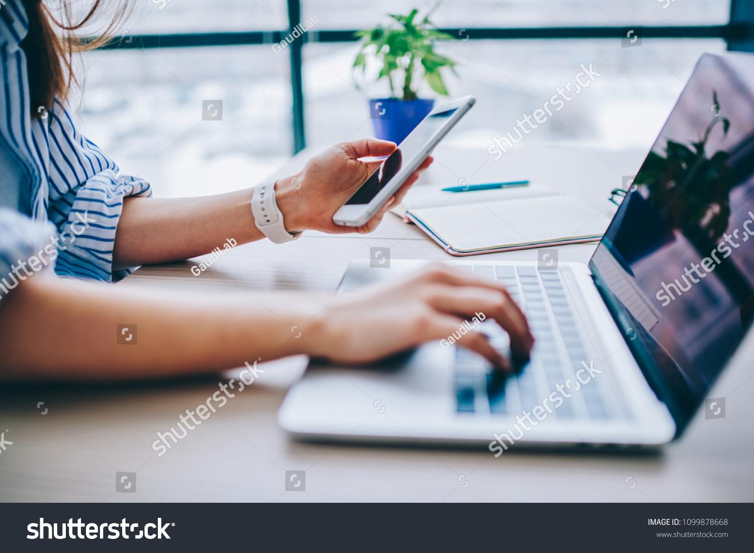 Cropped image of female holding smartphone getting message with confirmation making transaction on laptop computer,woman using mobile phone app for synchronizing data with netbook via bluetooth #1099878668