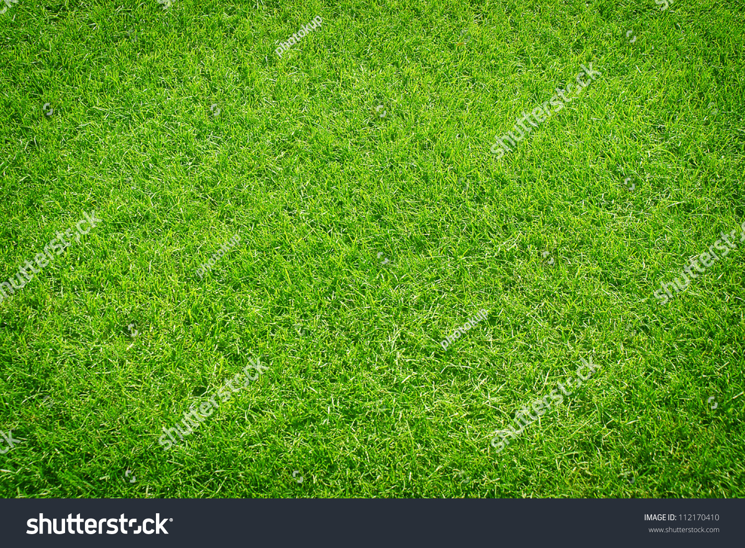 green grass #112170410