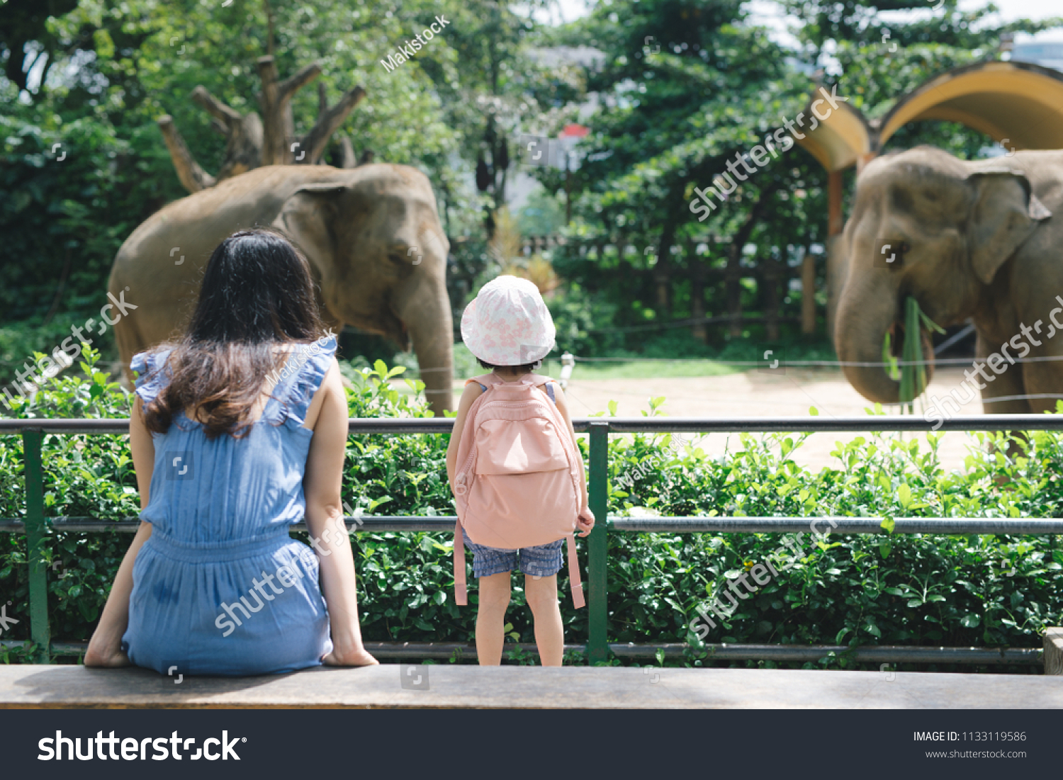 Happy mother and daughter watching and feeding elephants in zoo.  #1133119586