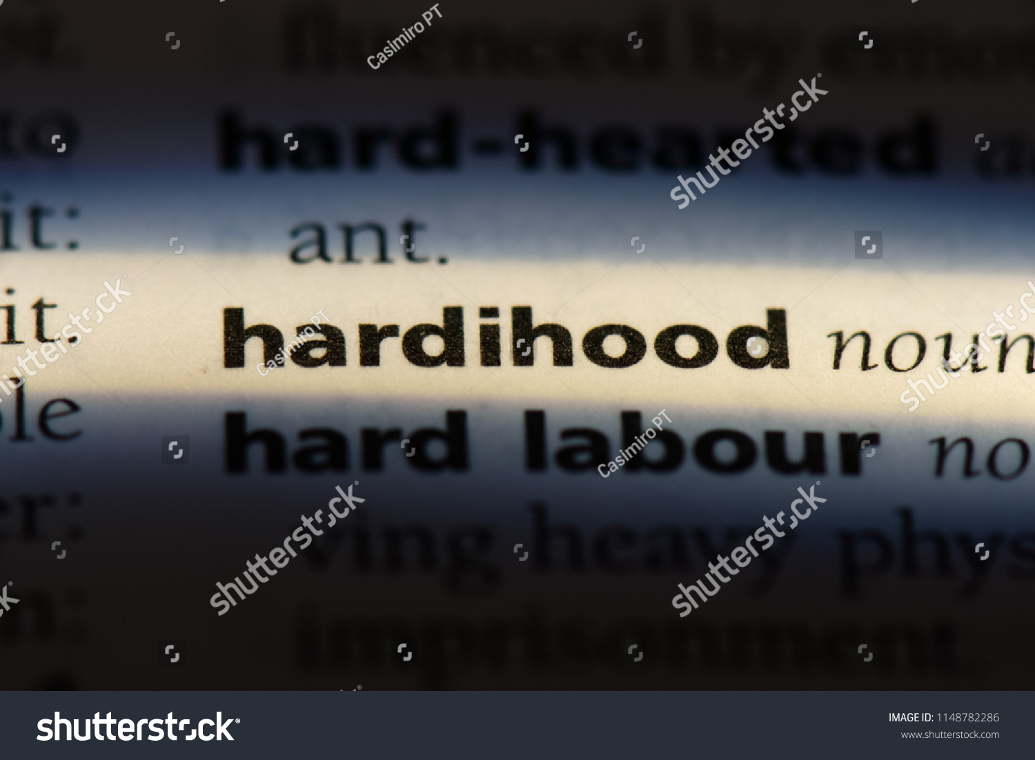 hardihood word in a dictionary. hardihood concept. #1148782286