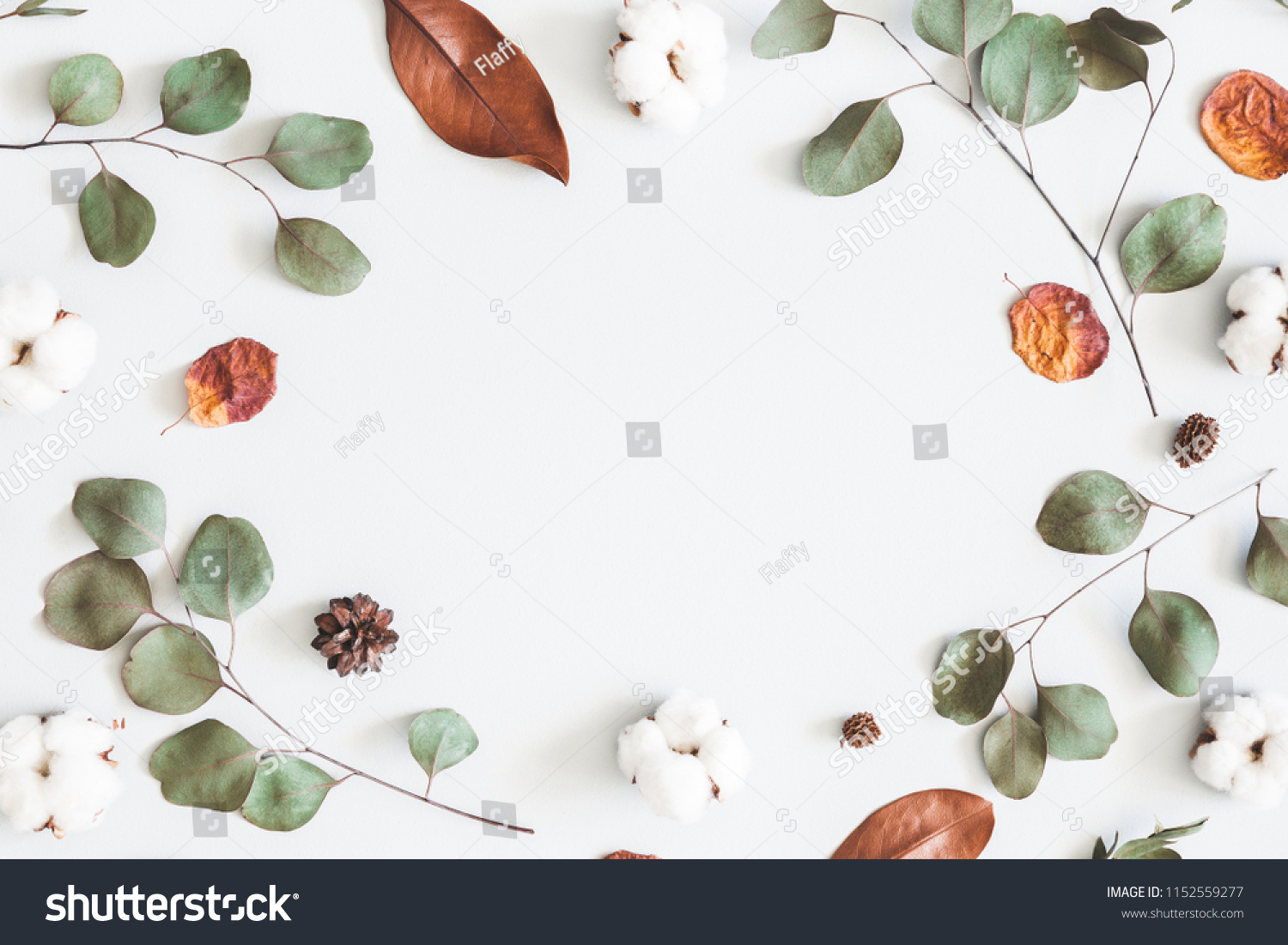 Autumn composition. Frame made of eucalyptus branches, cotton flowers, dried leaves on pastel gray background. Autumn, fall concept. Flat lay, top view, copy space #1152559277