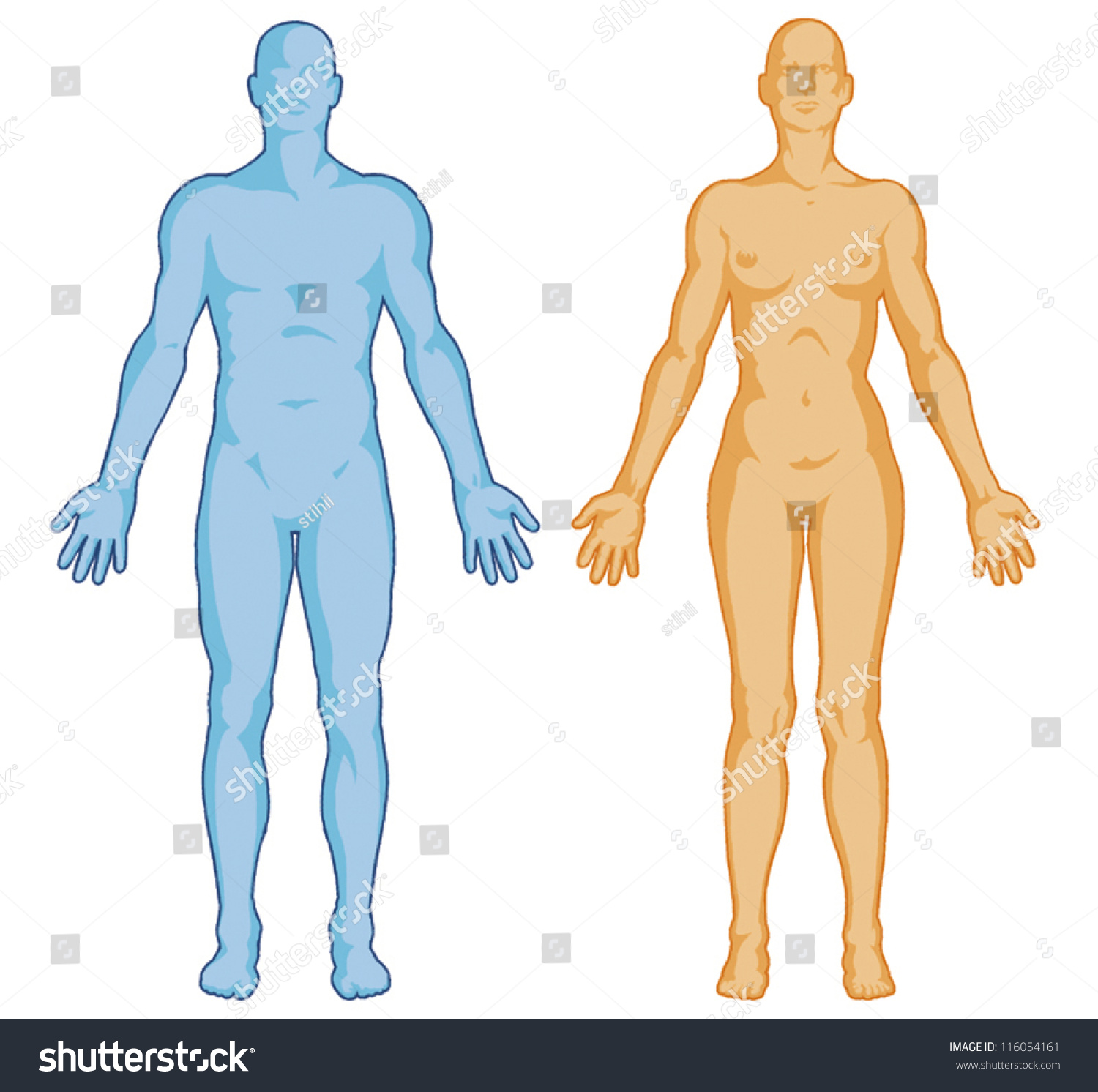 Featured image of post Male Body Outline Vector Man woman body blank outline illustration