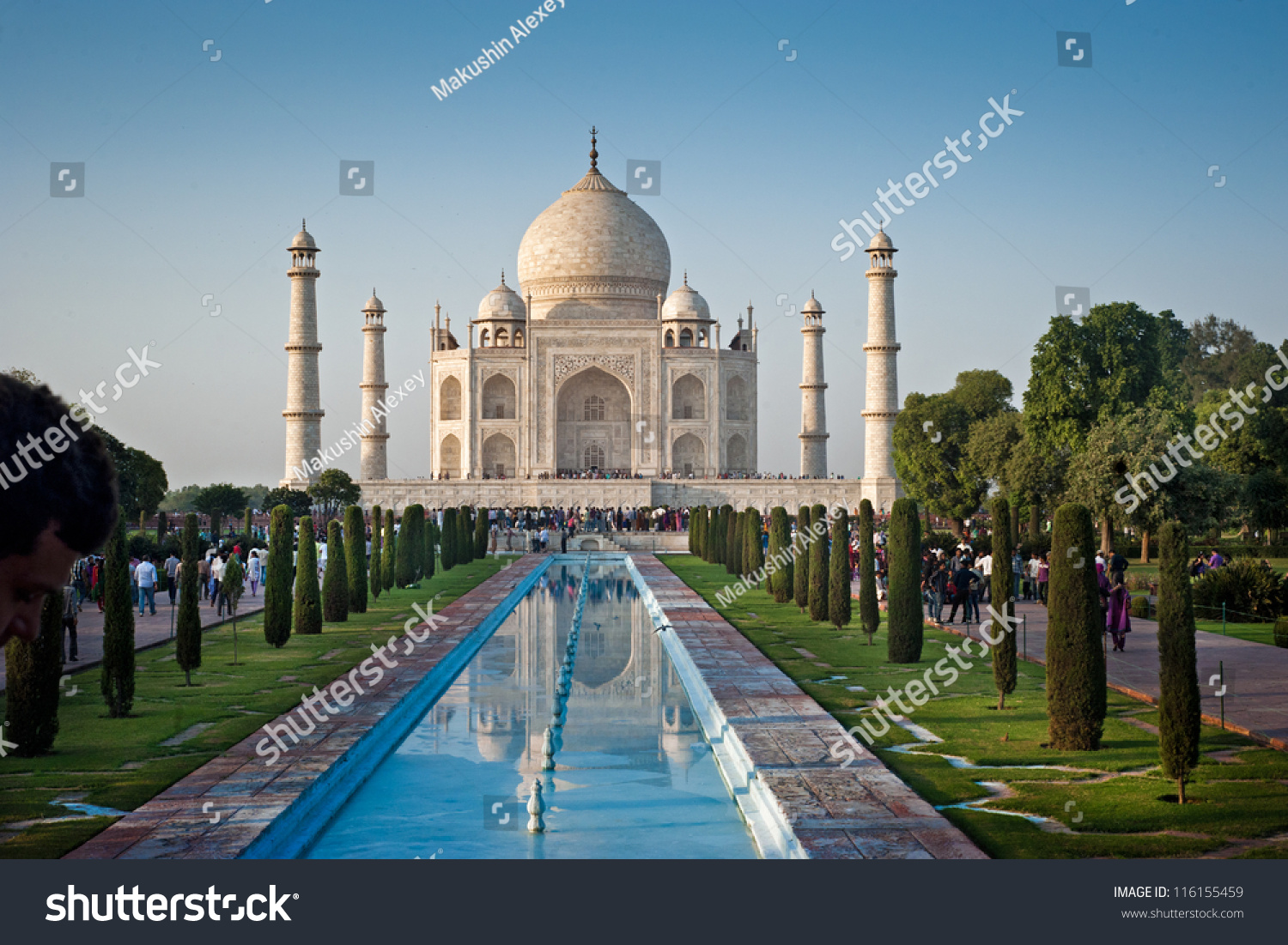  One of the seven wonders of the world - Taj Mahal mausoleum in evening light. Arga, India. #116155459