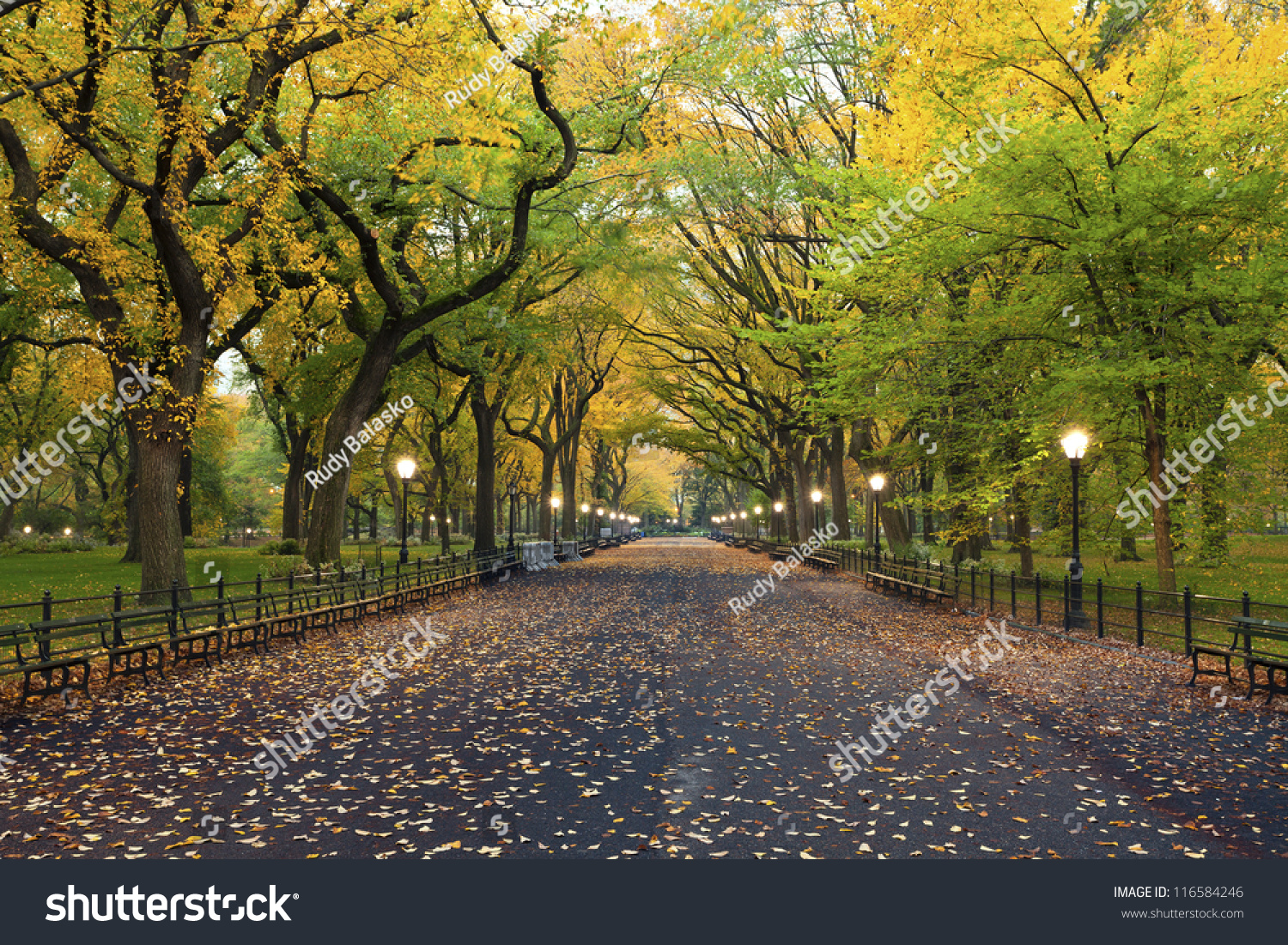 Central Park. Image of  The Mall area in Central Park, New York City, USA at autumn. #116584246