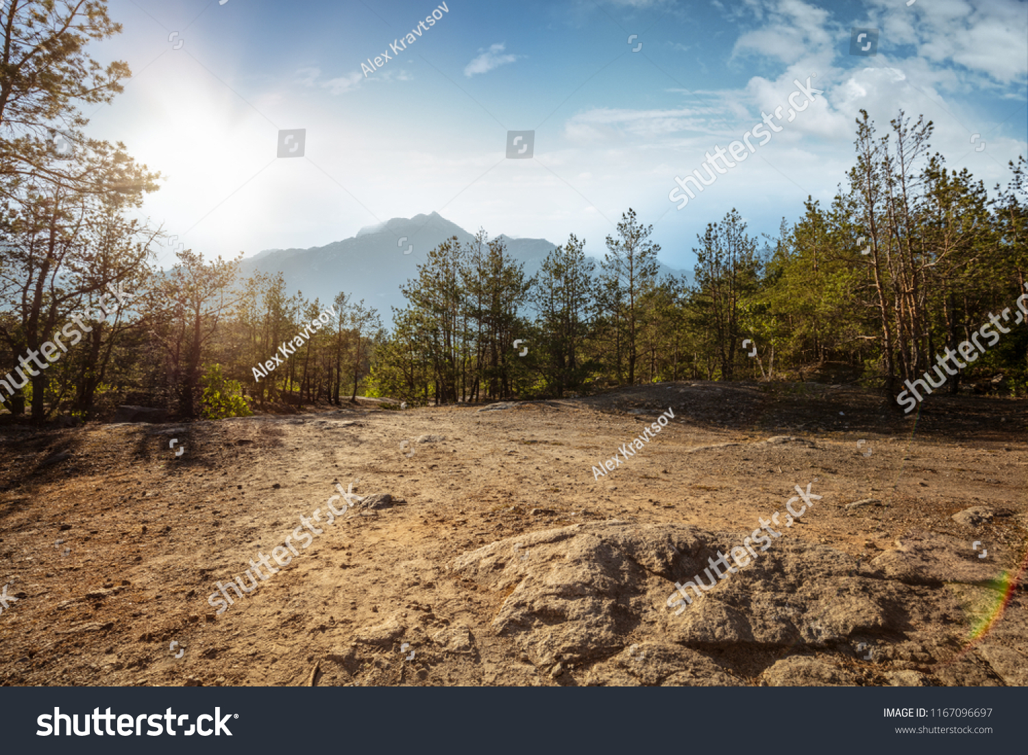 Beautiful forest mountain road. Dense fir forest with dust trail #1167096697