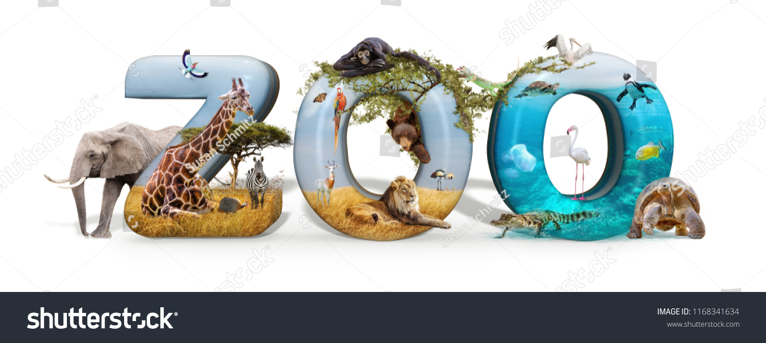 Zoo word in 3D with African nature wildlife animals and aquarium conceptual scene  #1168341634