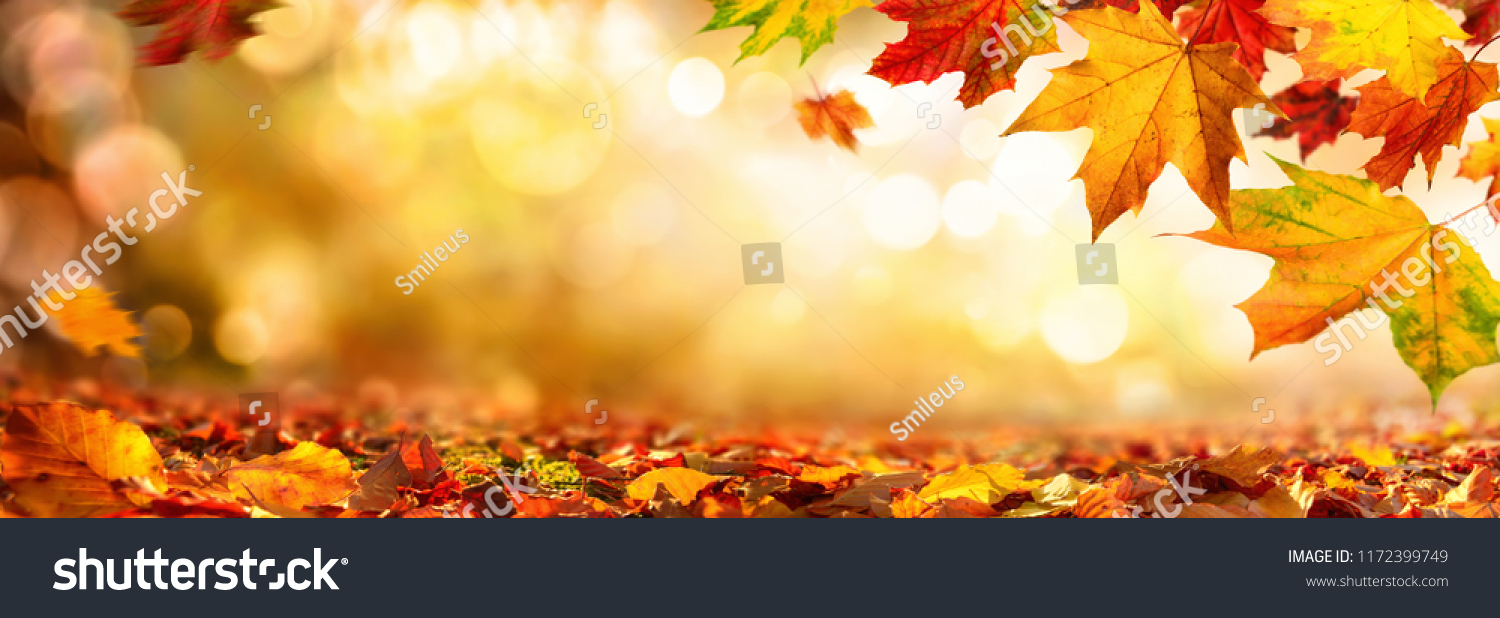 Autumn maple leaves decorate a beautiful nature bokeh background with forest ground, wide panorama format #1172399749