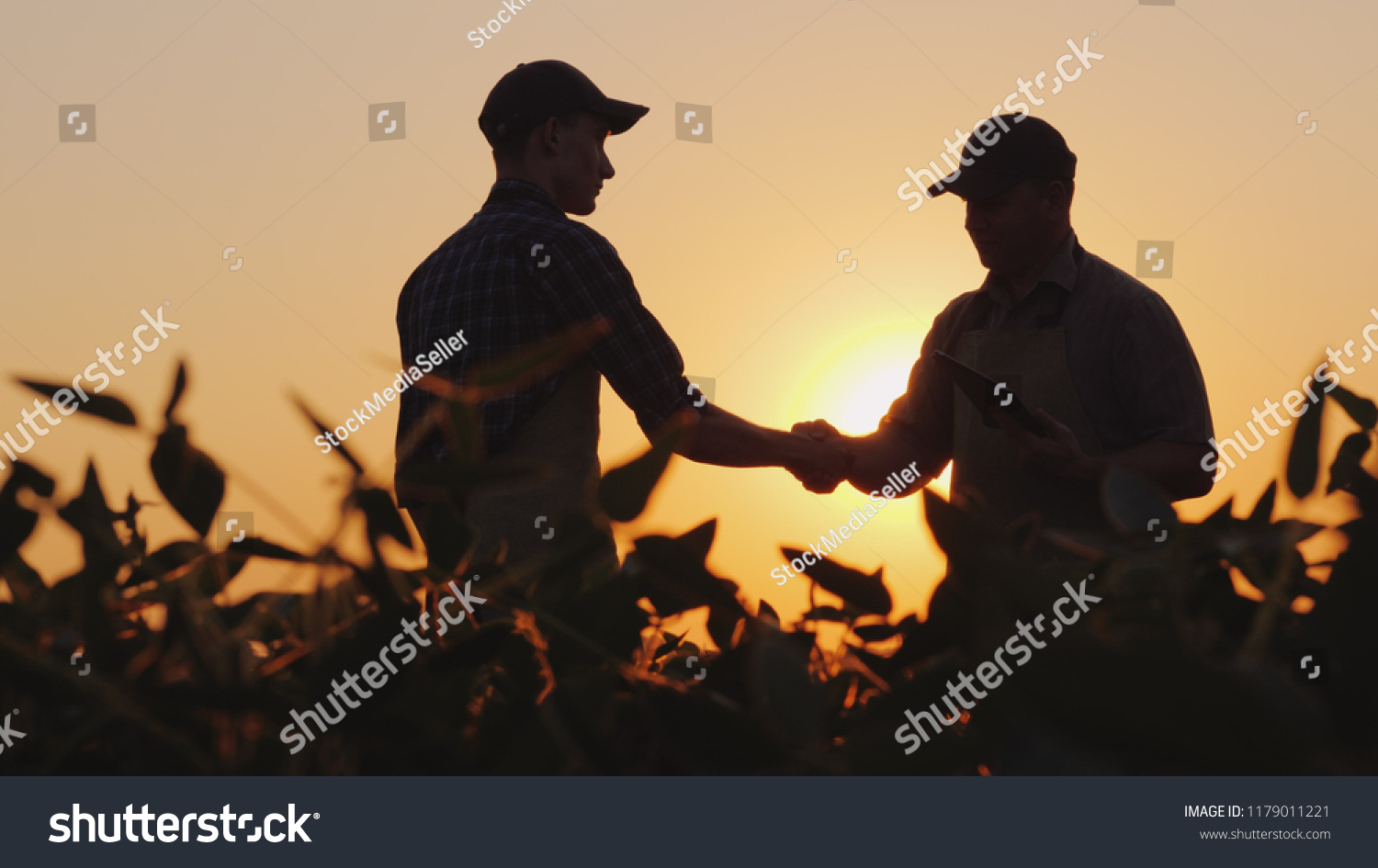 Two farmers talk on the field, then shake hands. Use a tablet #1179011221