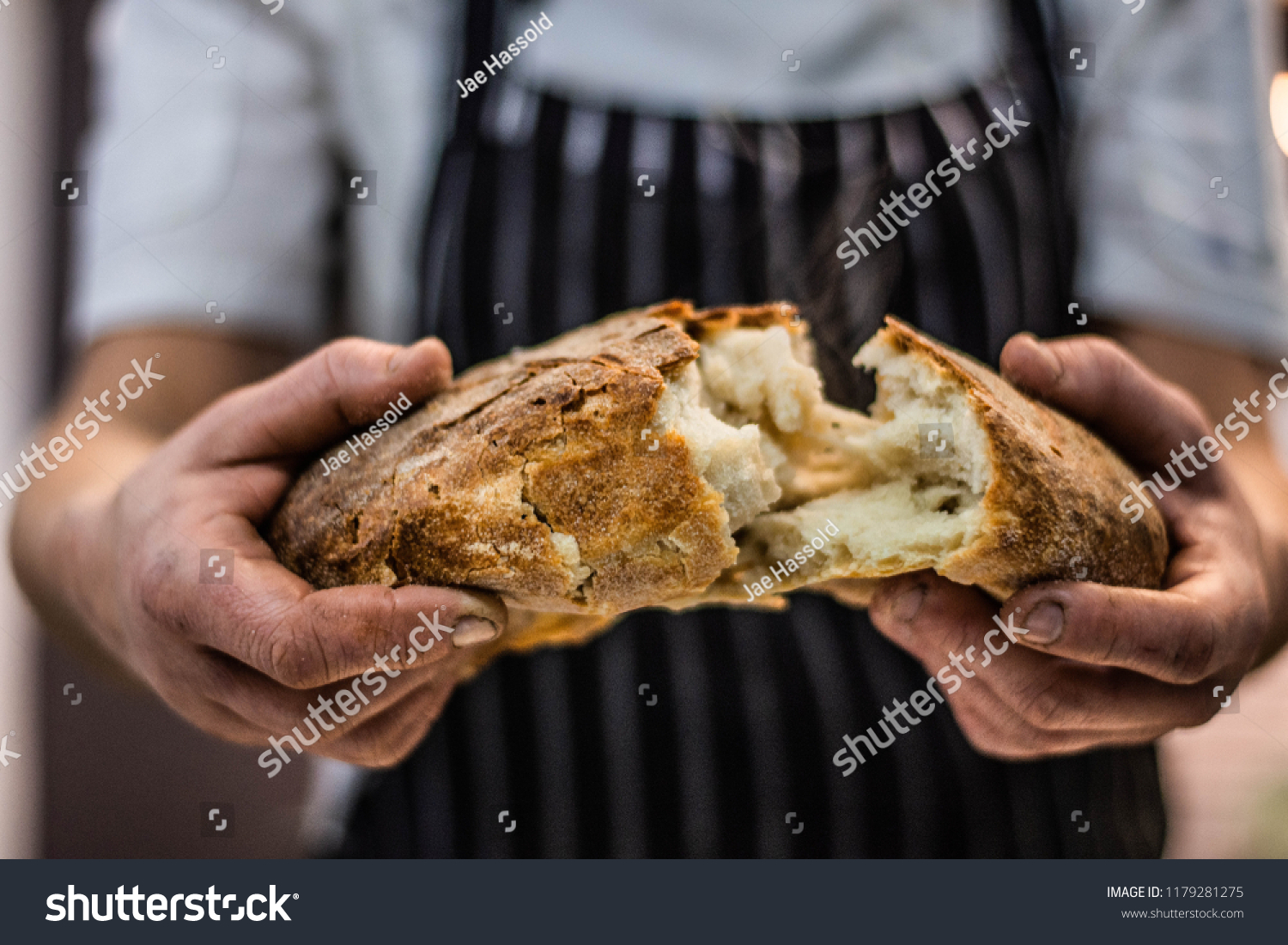 Chef Breaking Freshly Baked Sourdough Bread #1179281275