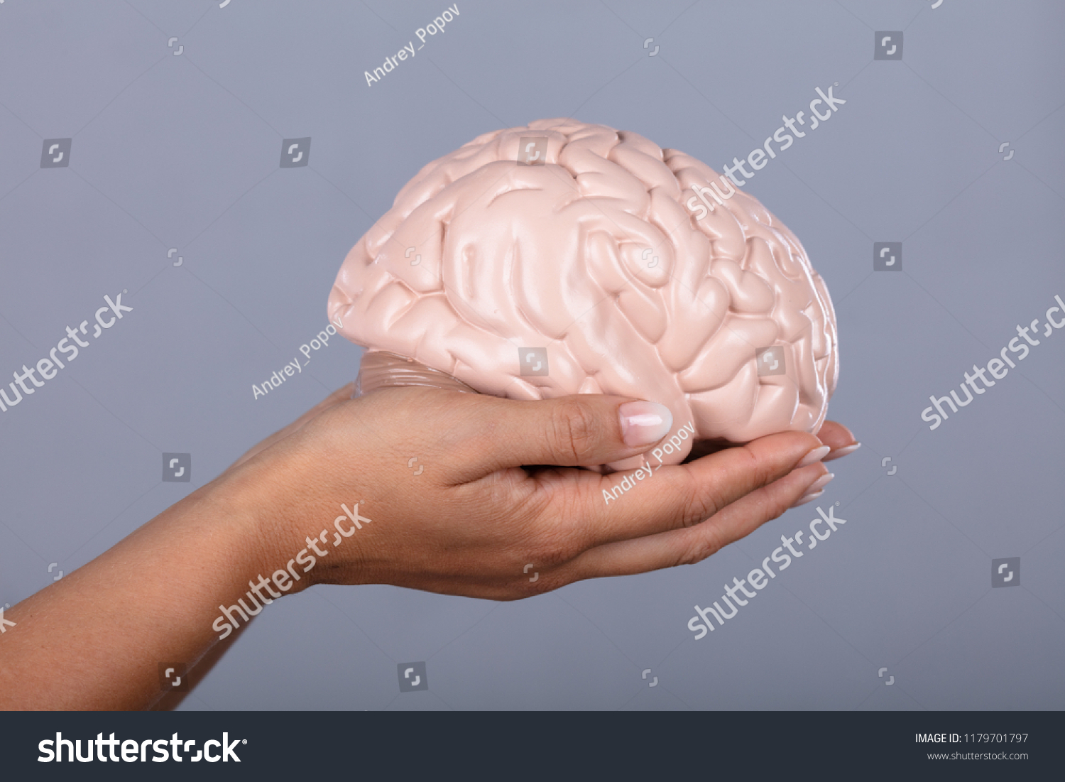 Human Hand Holding Human Brain Model Against Grey Background #1179701797