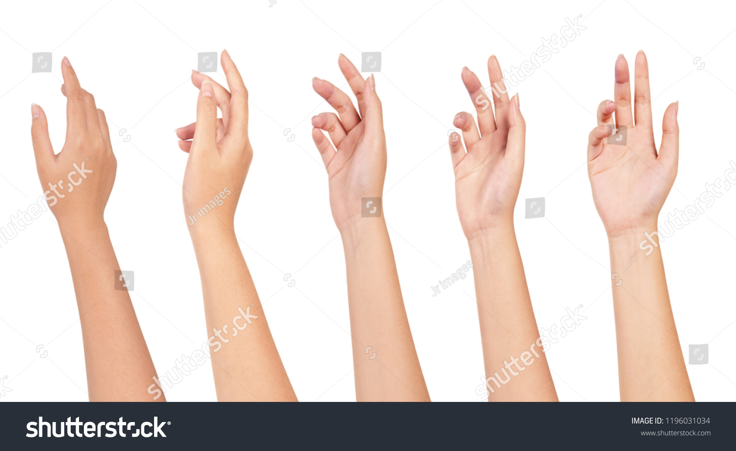 Set of woman hands isolated on white background. #1196031034