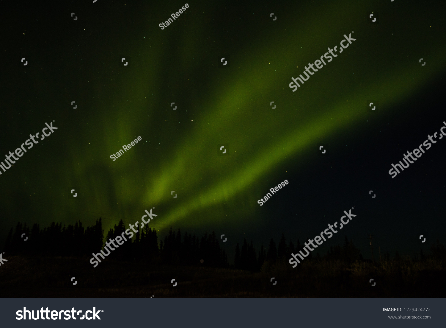 Aurora Borealis in Alaska #1229424772