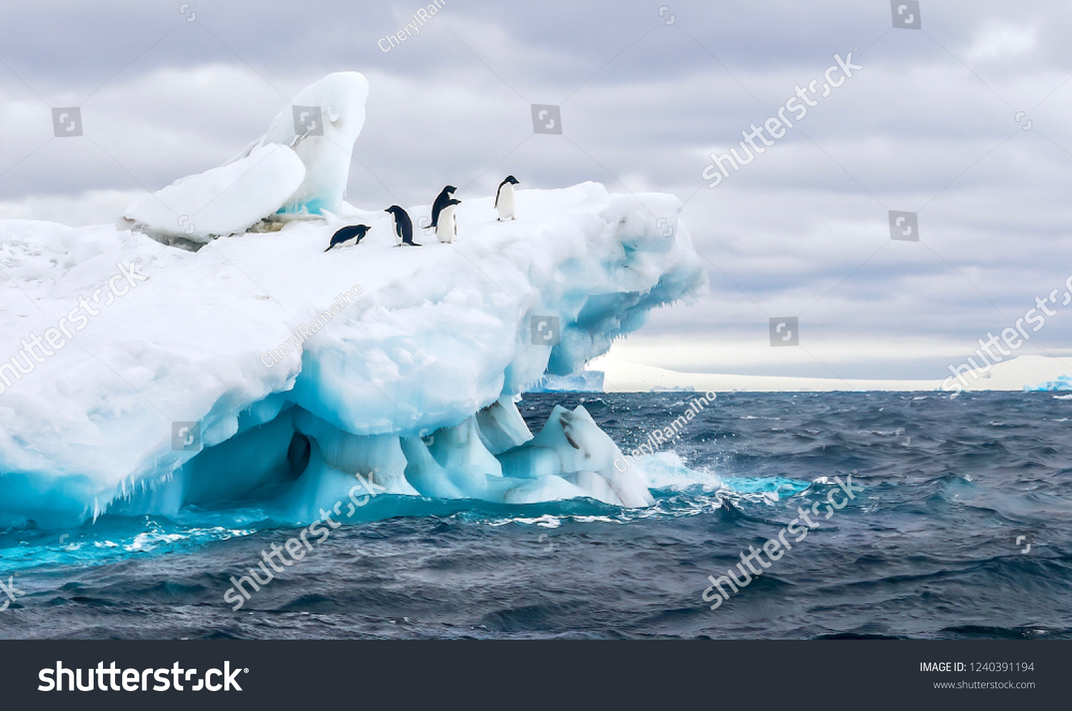 An Antarctica nature scene, with a group of five Adelie penguins on a floating iceberg in the icy cold waters of the Weddell Sea, near the Tabarin Peninsula, Antarctica. #1240391194