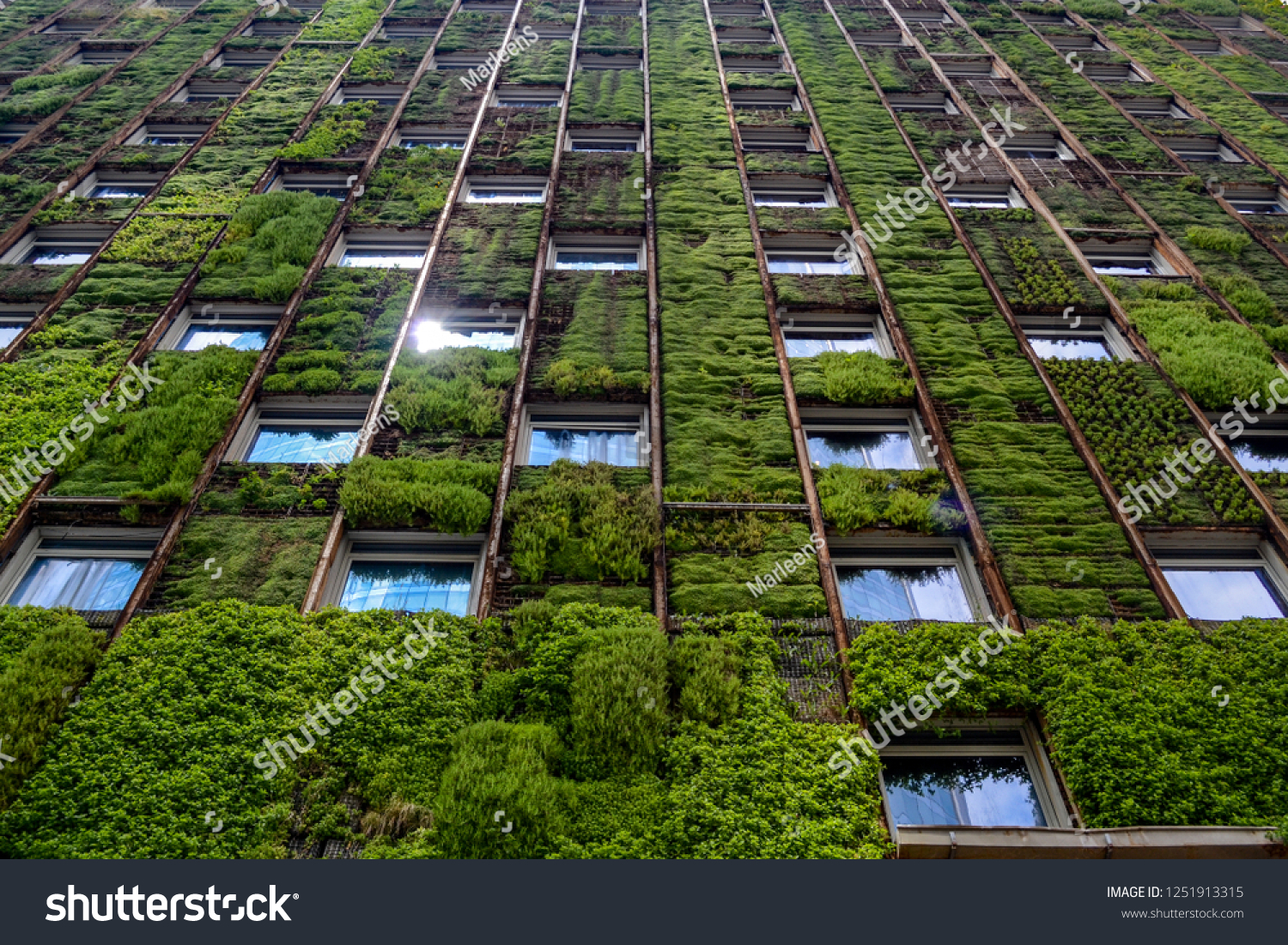 Wall of high-rise building covered with plants, reflection of sunlight in one of the windows #1251913315