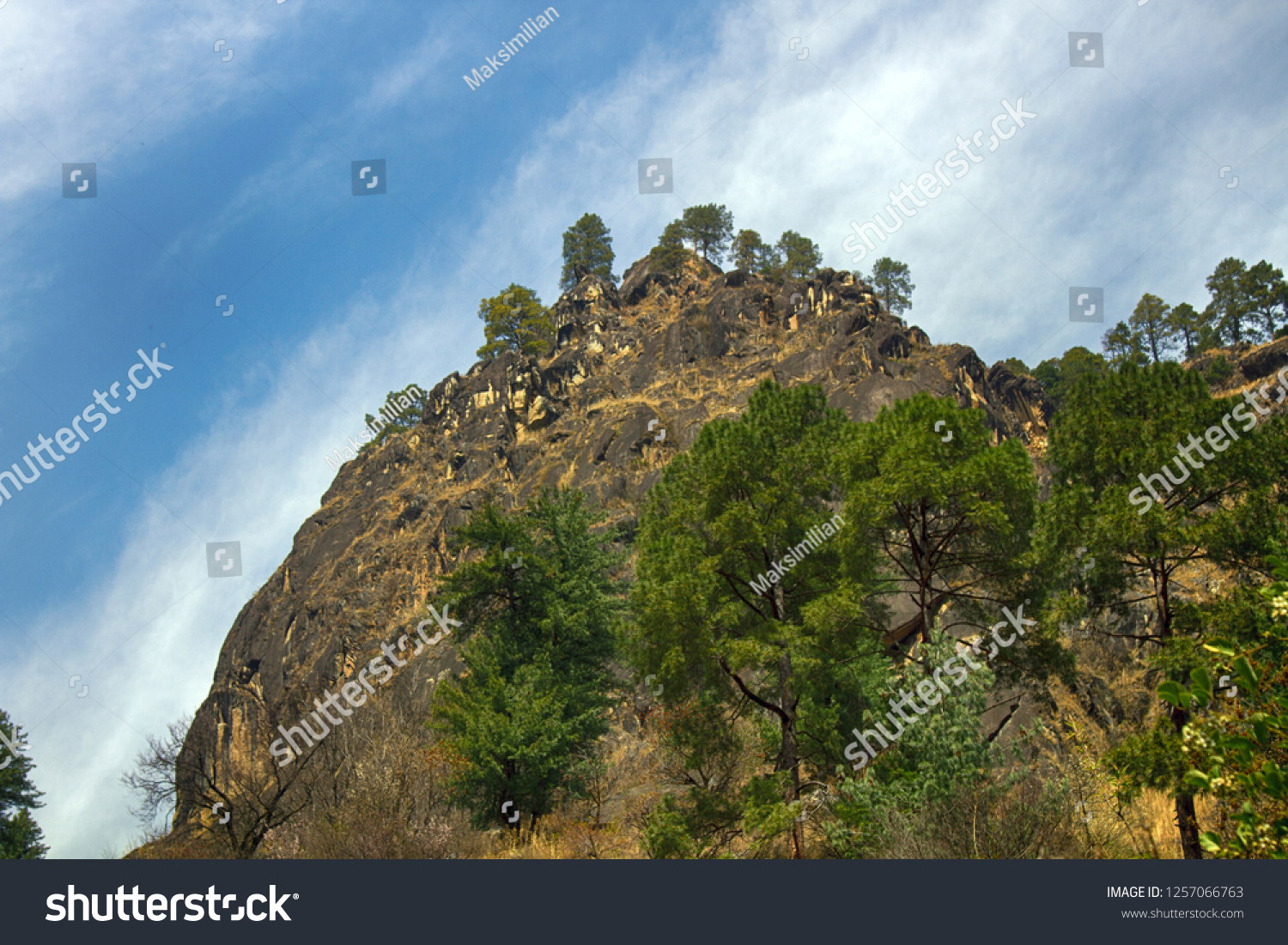 Rocky cliff in the Sivalik mountains, Lesser Himalaya. Selected Himalayan pine trees on the mountainside, springtime #1257066763