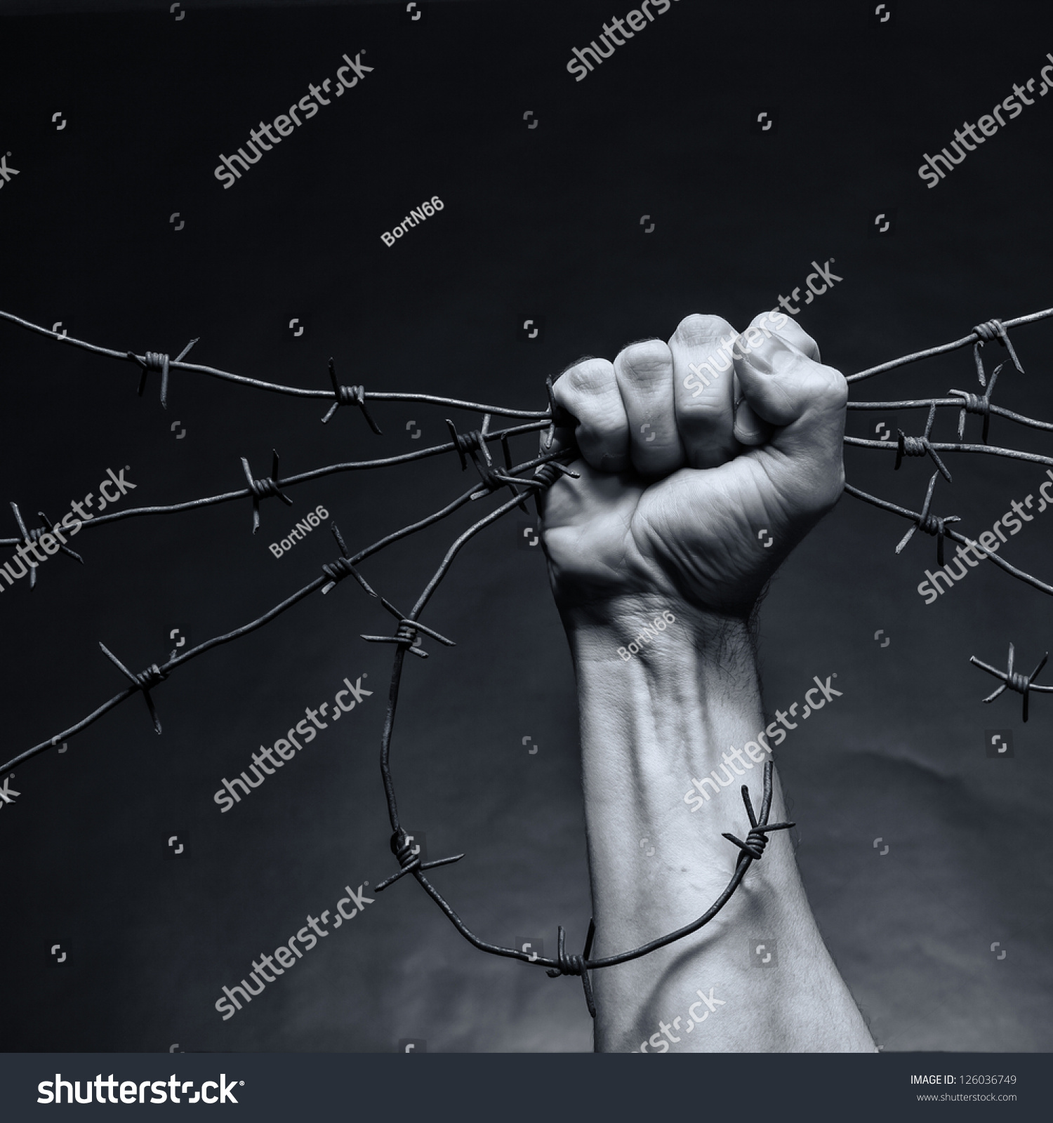 Rusty barbed wire in a strong man's hand #126036749