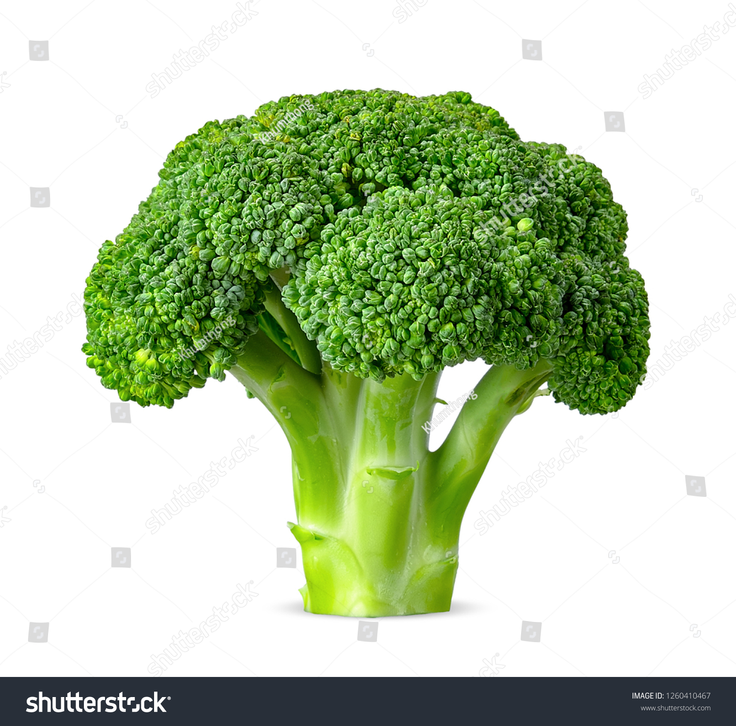 Broccoli isolated on white background with clipping path #1260410467