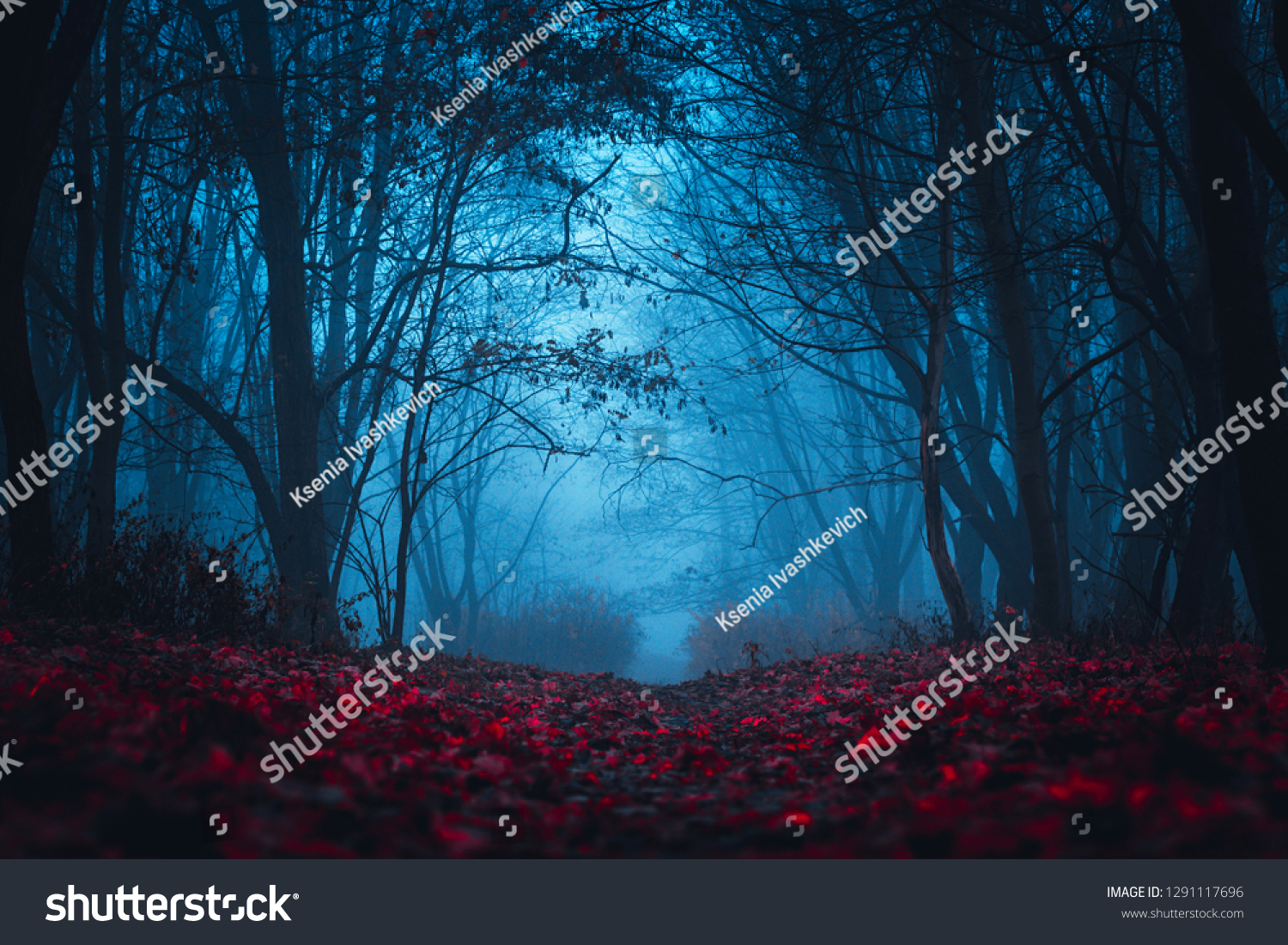 Fairy Mysterious Forest. Mystical atmosphere. Paranormal another world. Stranger forest in a fog. Dark scary park with red leaves. Background for wallpaper. #1291117696