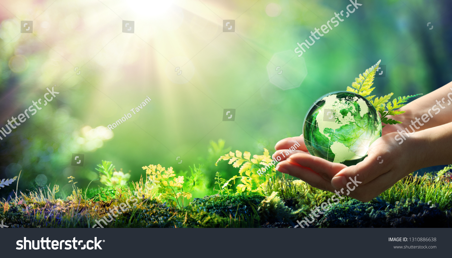 Hands Holding Globe Glass In Green Forest - Environment Concept - Usa elements of this image furnished by NASA
 #1310886638