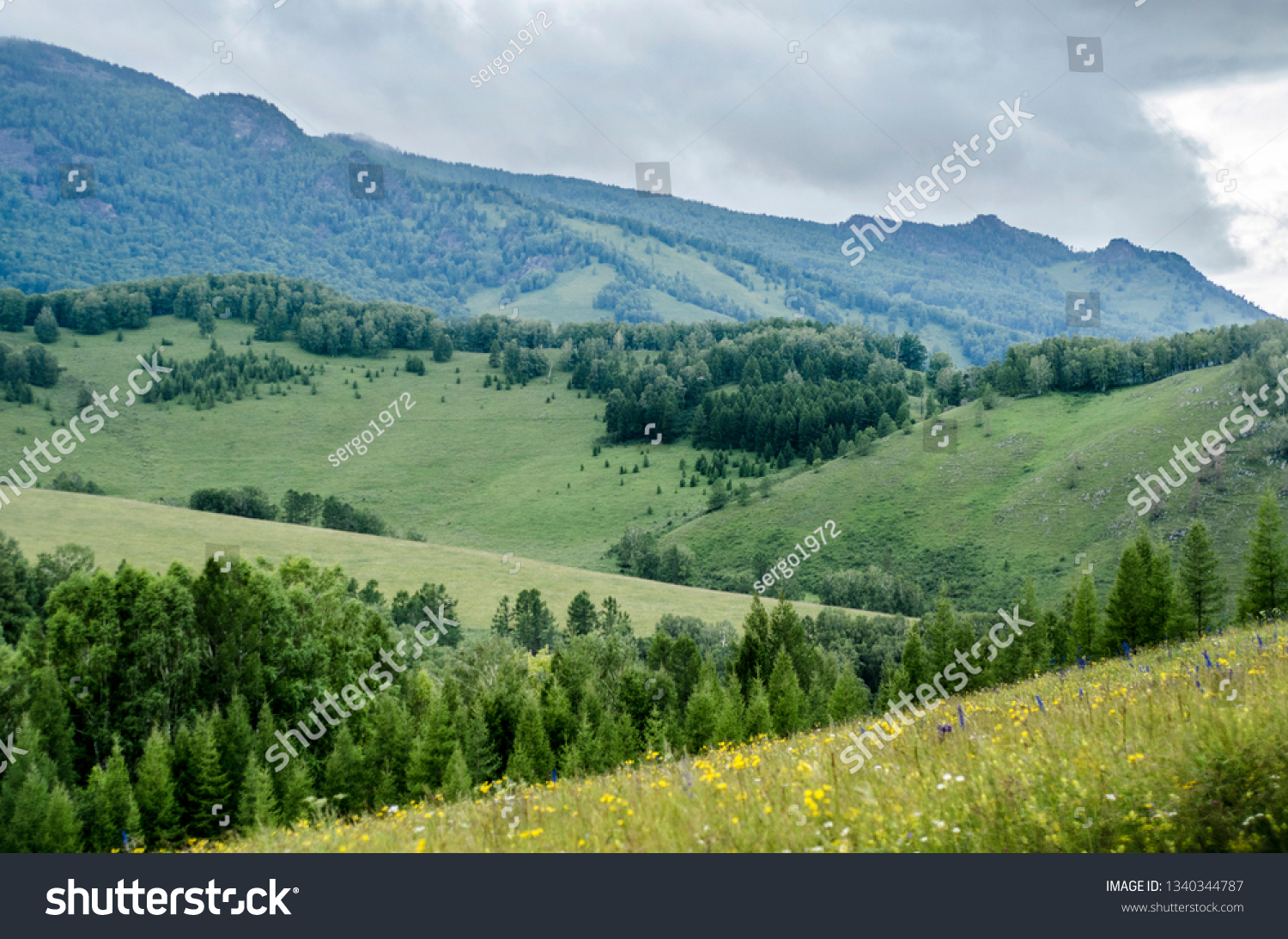  mountain taiga with forest, field, mountains and sky with clouds on a summer day. #1340344787