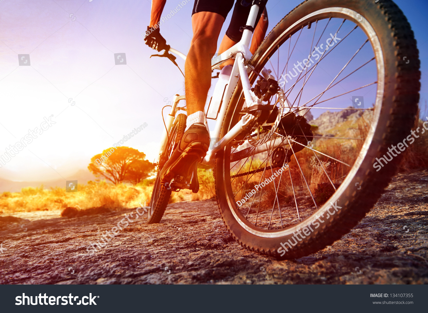 low angle view of cyclist riding mountain bike on rocky trail at sunrise #134107355