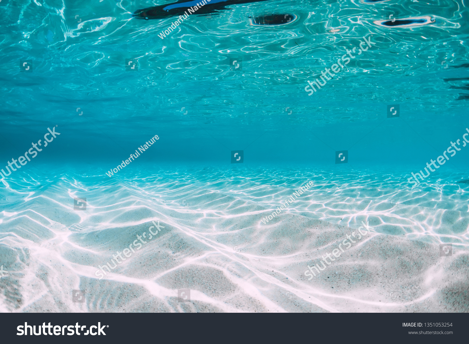 Tropical blue ocean with white sand underwater in Hawaii #1351053254
