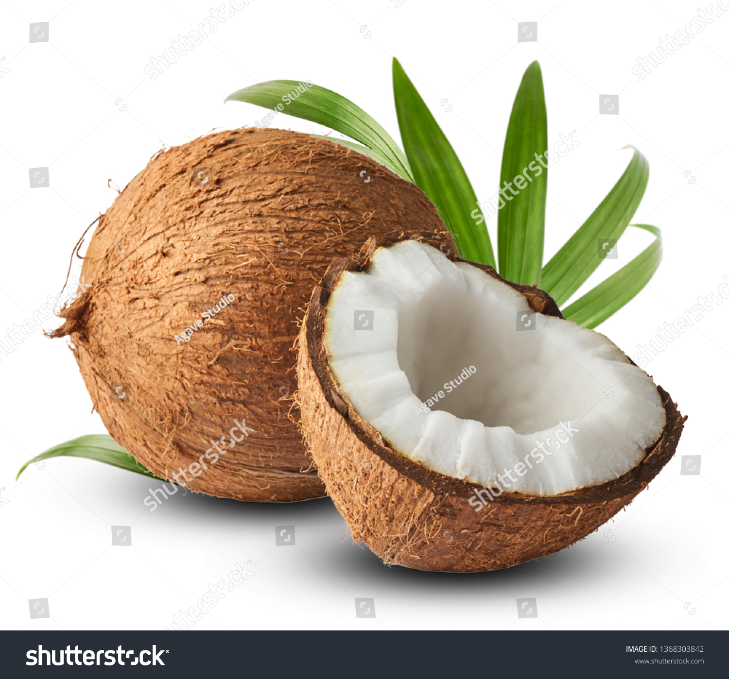 Fresh raw coconut with palm leaves isolated on white background. High resolution image #1368303842