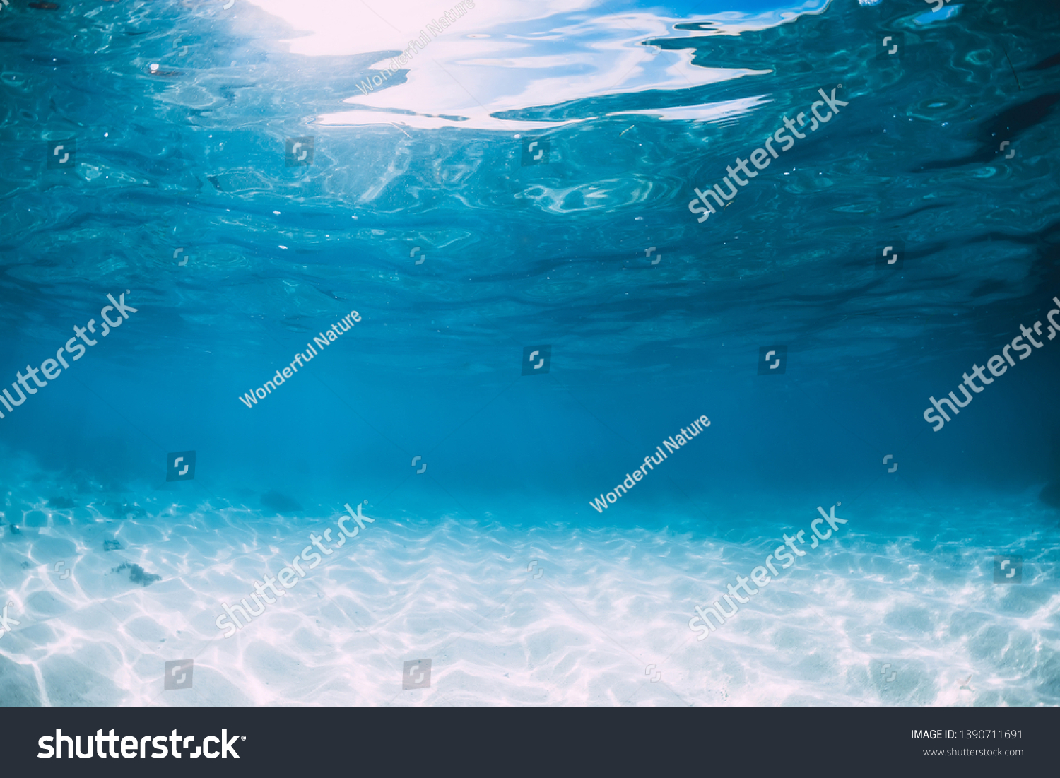 Tropical blue ocean with white sand underwater in Hawaii #1390711691