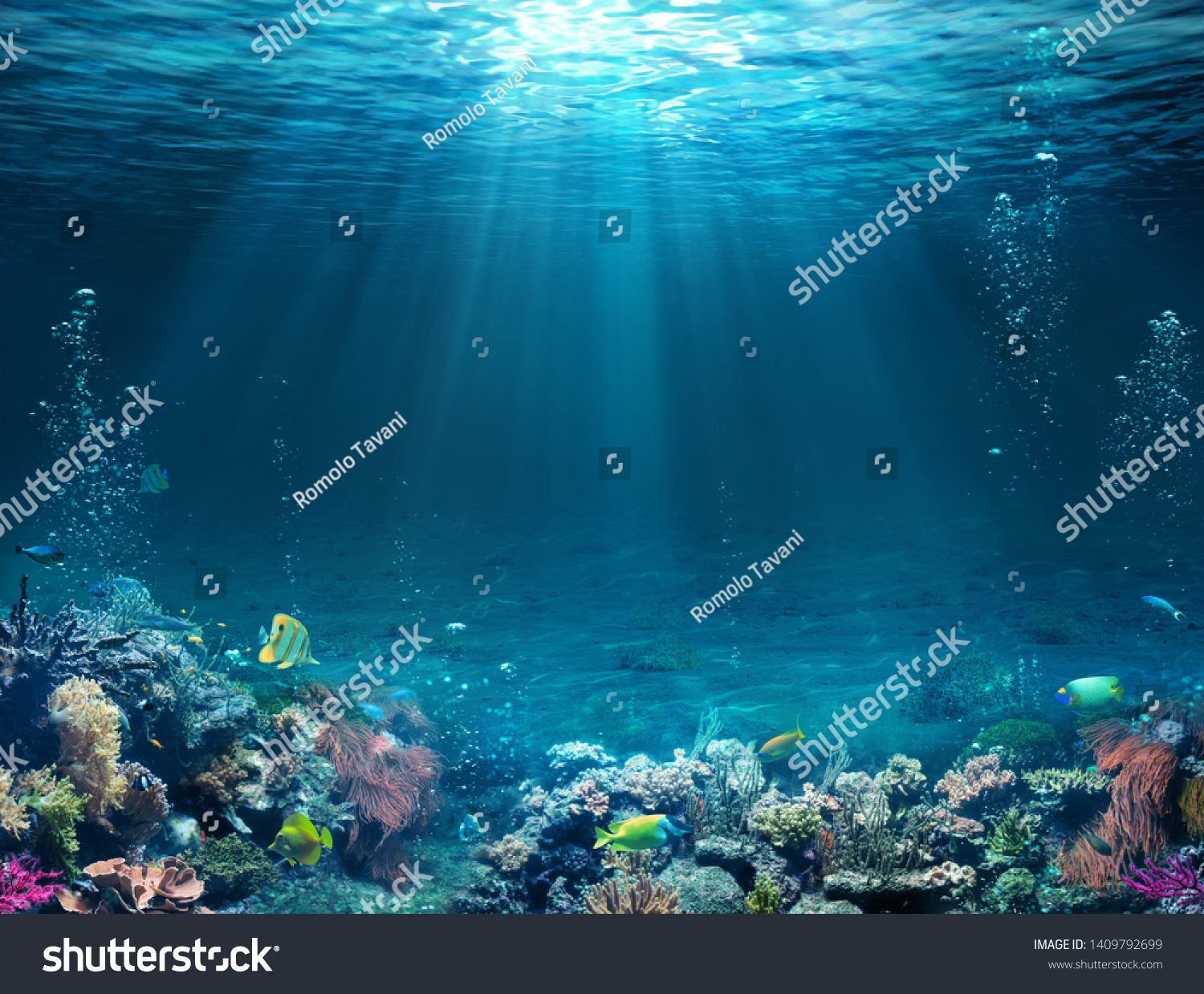 Underwater Scene - Tropical Seabed With Reef And Sunshine
 #1409792699