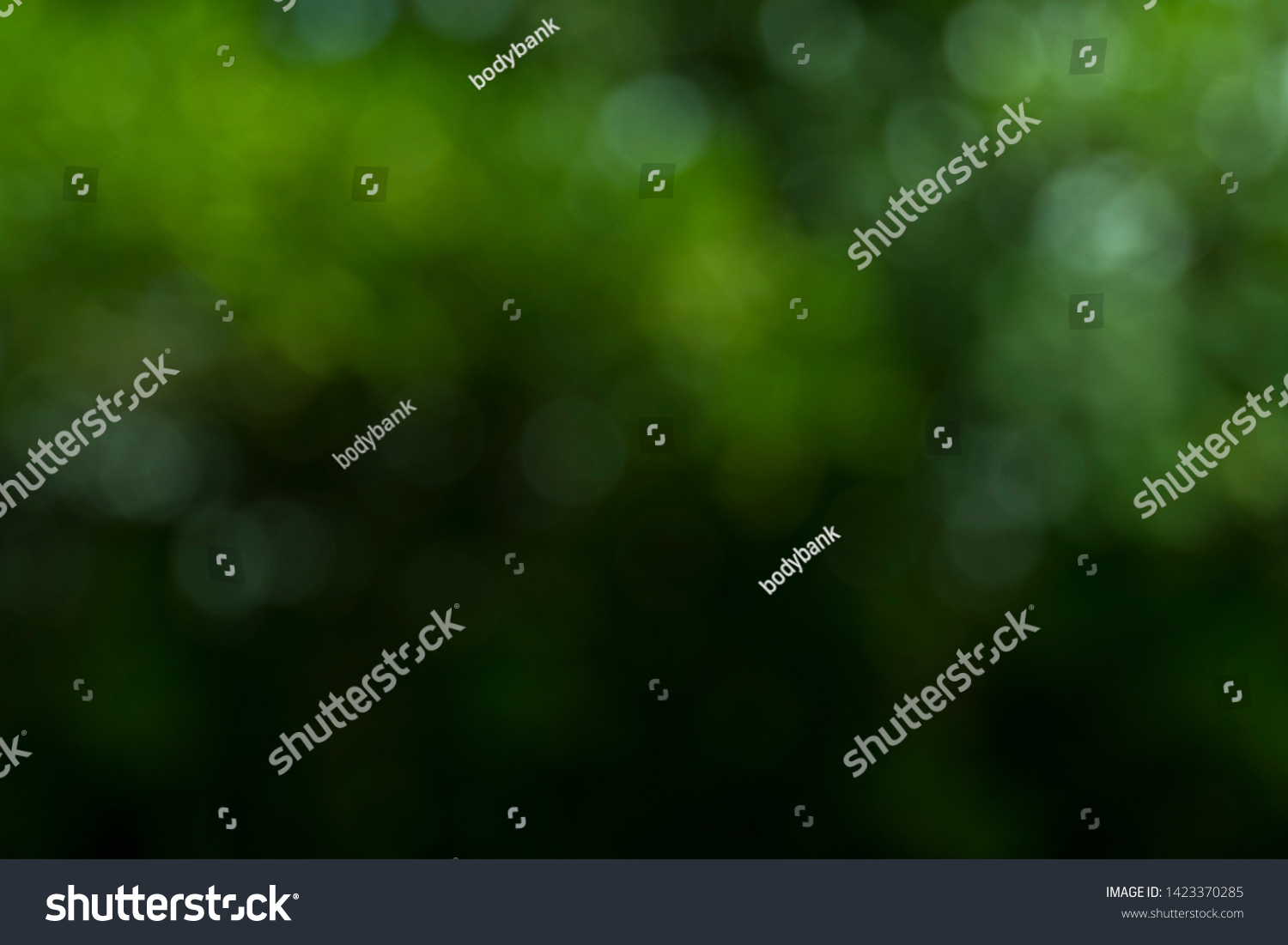 Closeup nature view of green leaf on blurred greenery background in garden with copy space using as background natural green plants landscape, ecology. Blurred green bokeh nature abstract background #1423370285