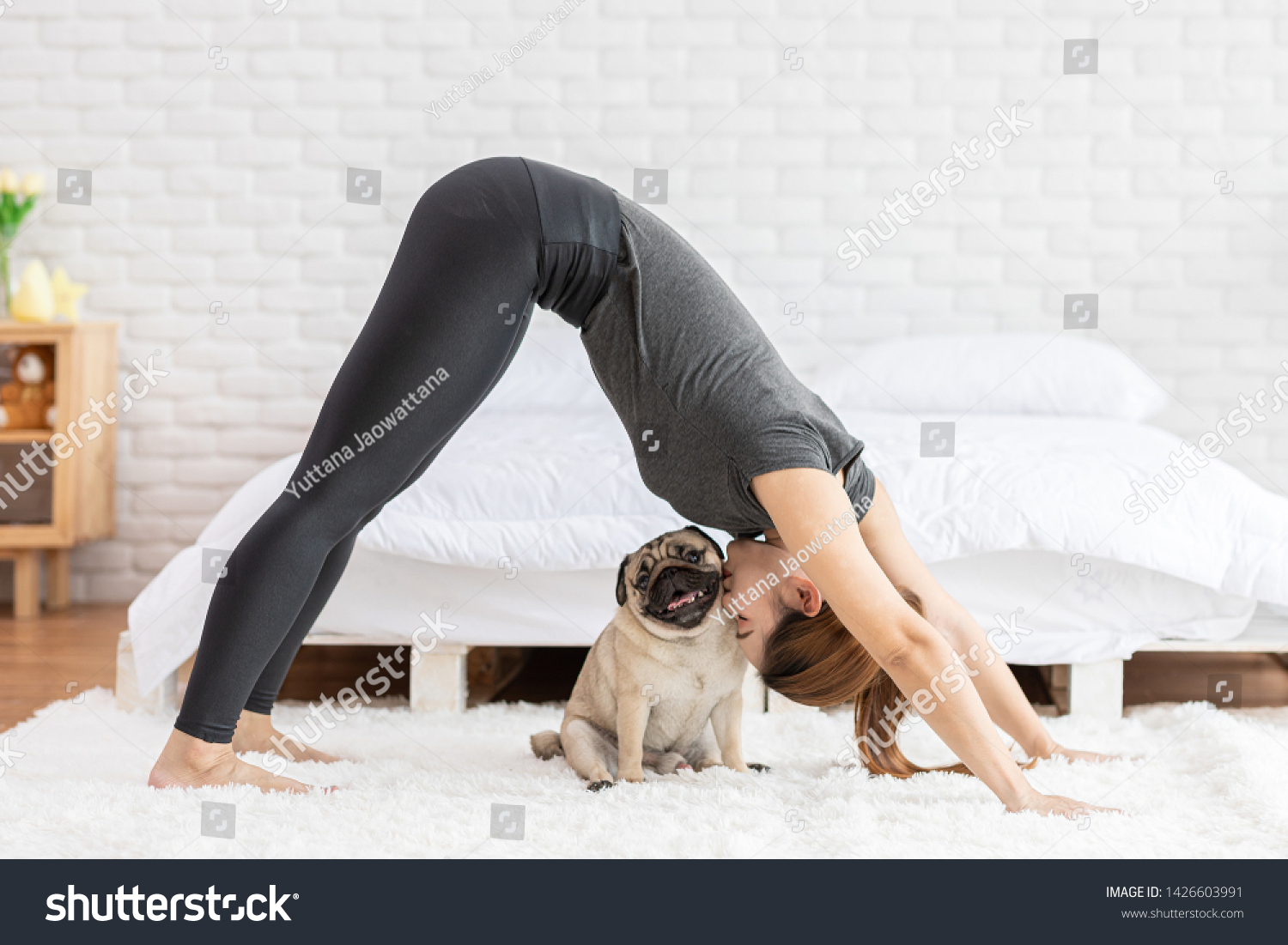 Asian woman practice yoga Downward Facing dog to meditation and kissing her dog pug breed enjoy and relax with yoga. Spending time and playing with dog at home. Recreation love with Dog Concept #1426603991