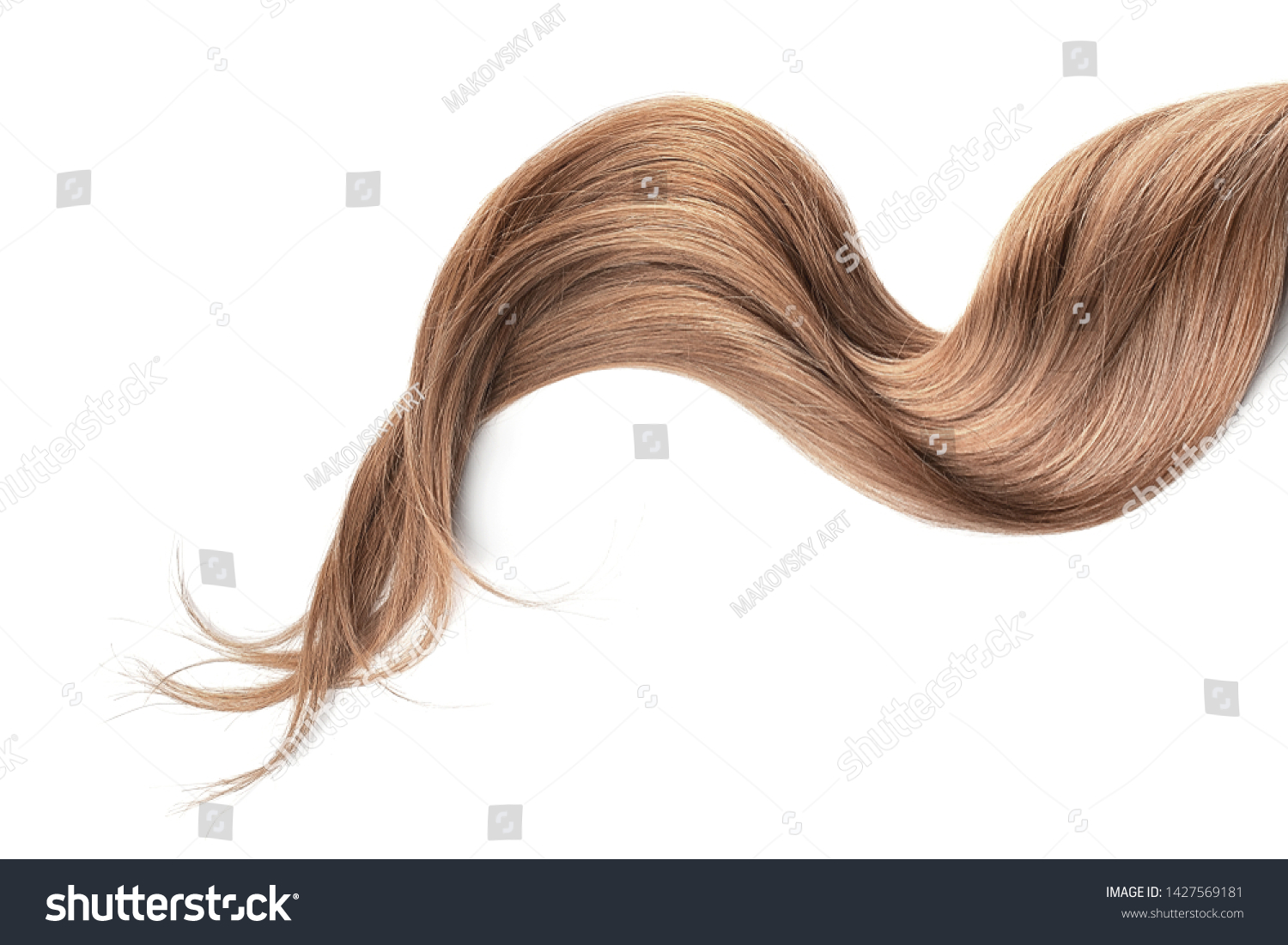 Brown hair isolated on white background. Long wavy ponytail #1427569181