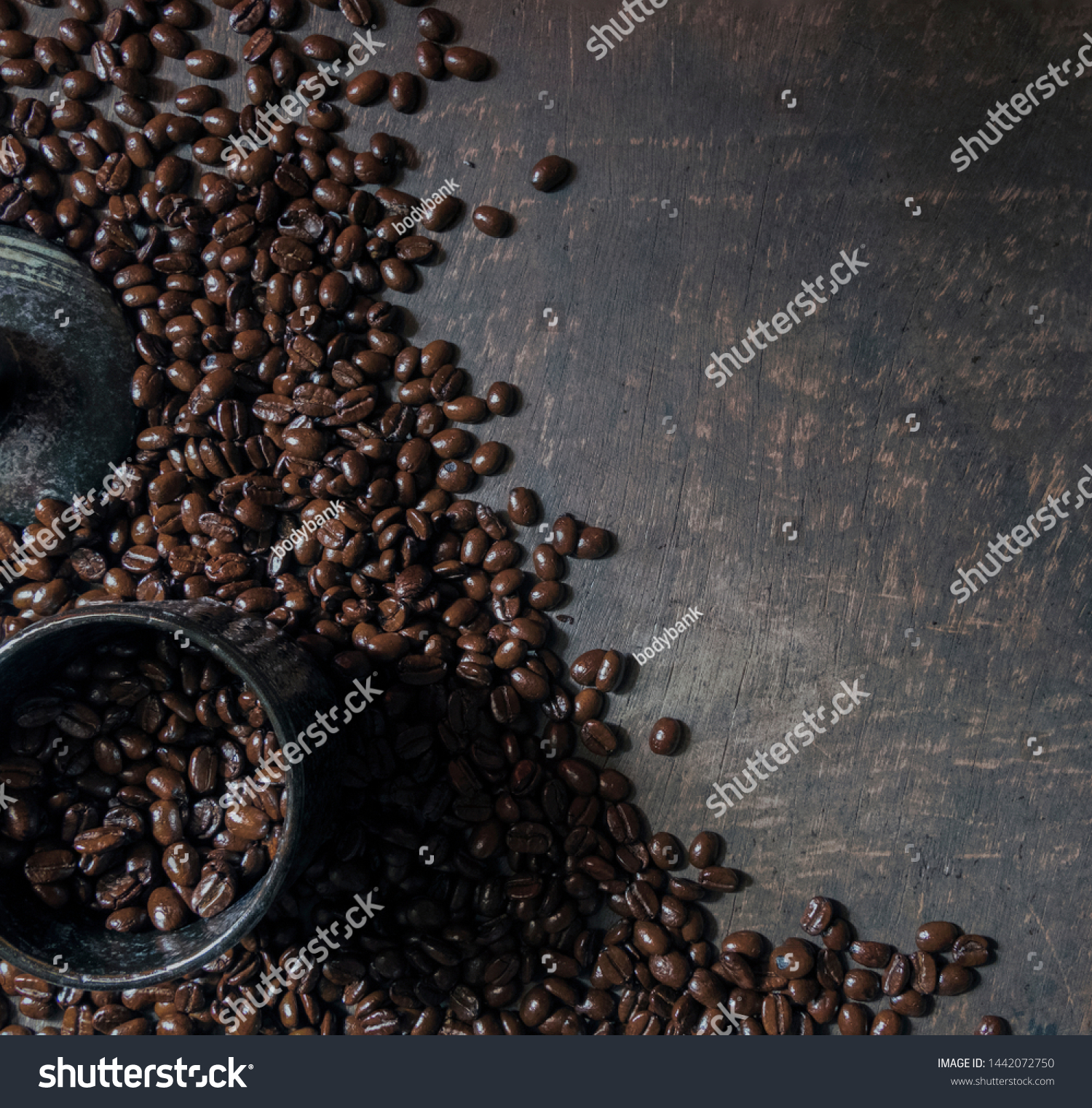 
Coffee cup and coffee beans on the wooden floor. Top view with copy space for your text #1442072750