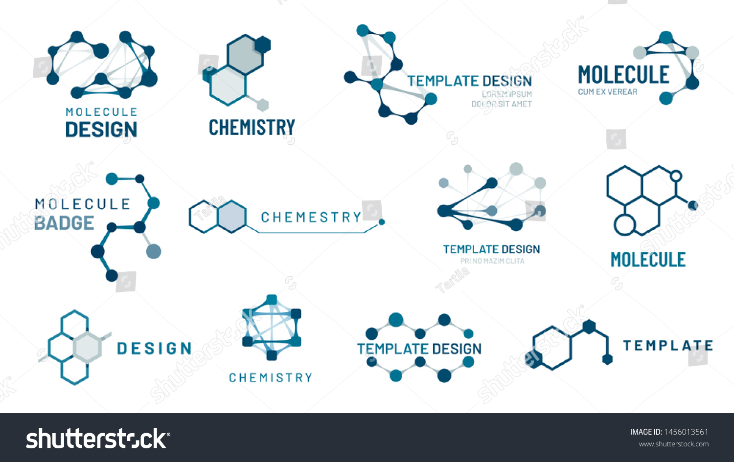Hexagonal molecule badge. Molecular structure logo, molecular grids and chemistry hexagon molecules templates. Dna macromolecule, science bio code logo. Isolated vector symbols set #1456013561