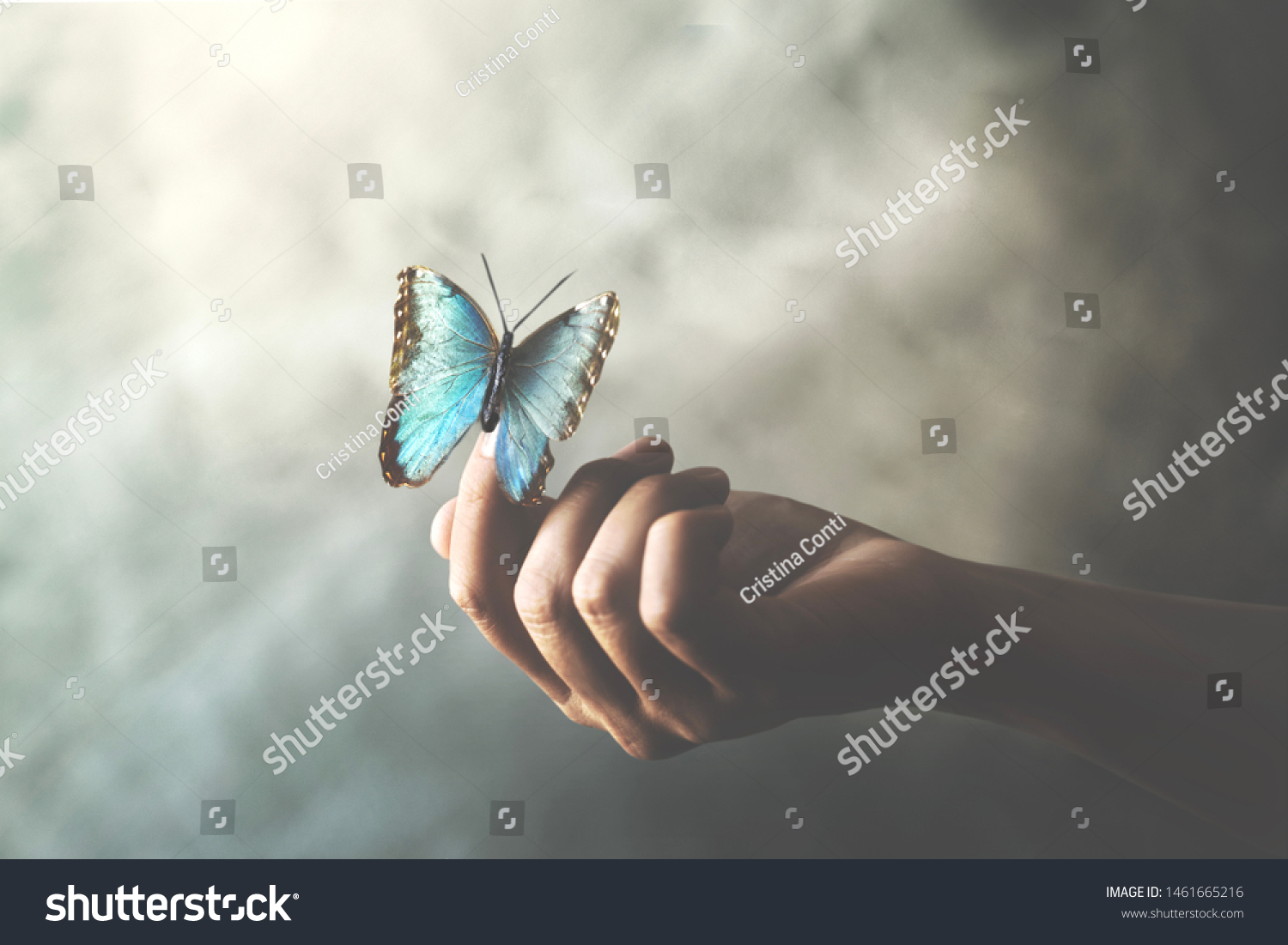 a butterfly leans on a woman's hand #1461665216